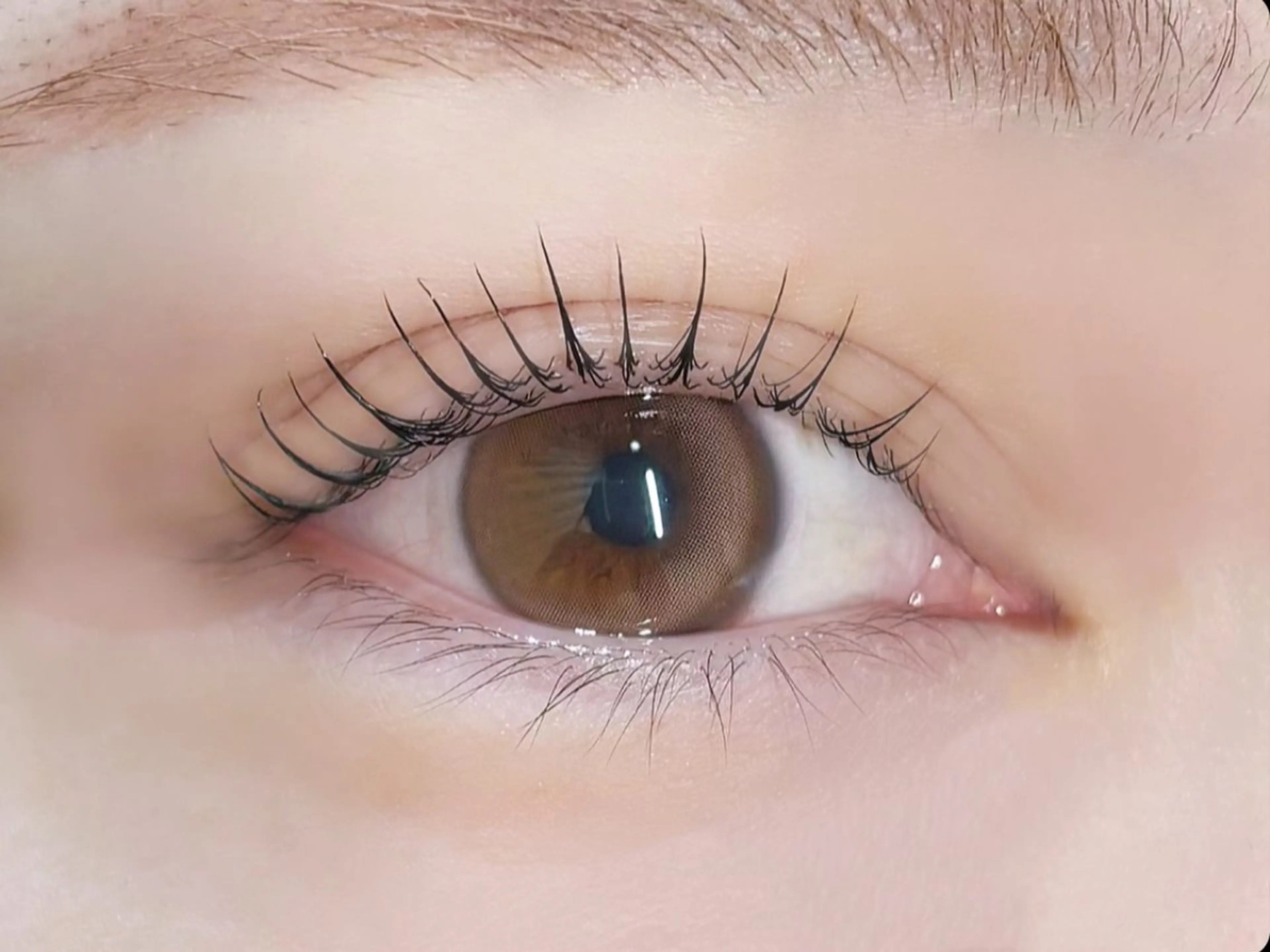 【学割U24】まつげパーマの写真