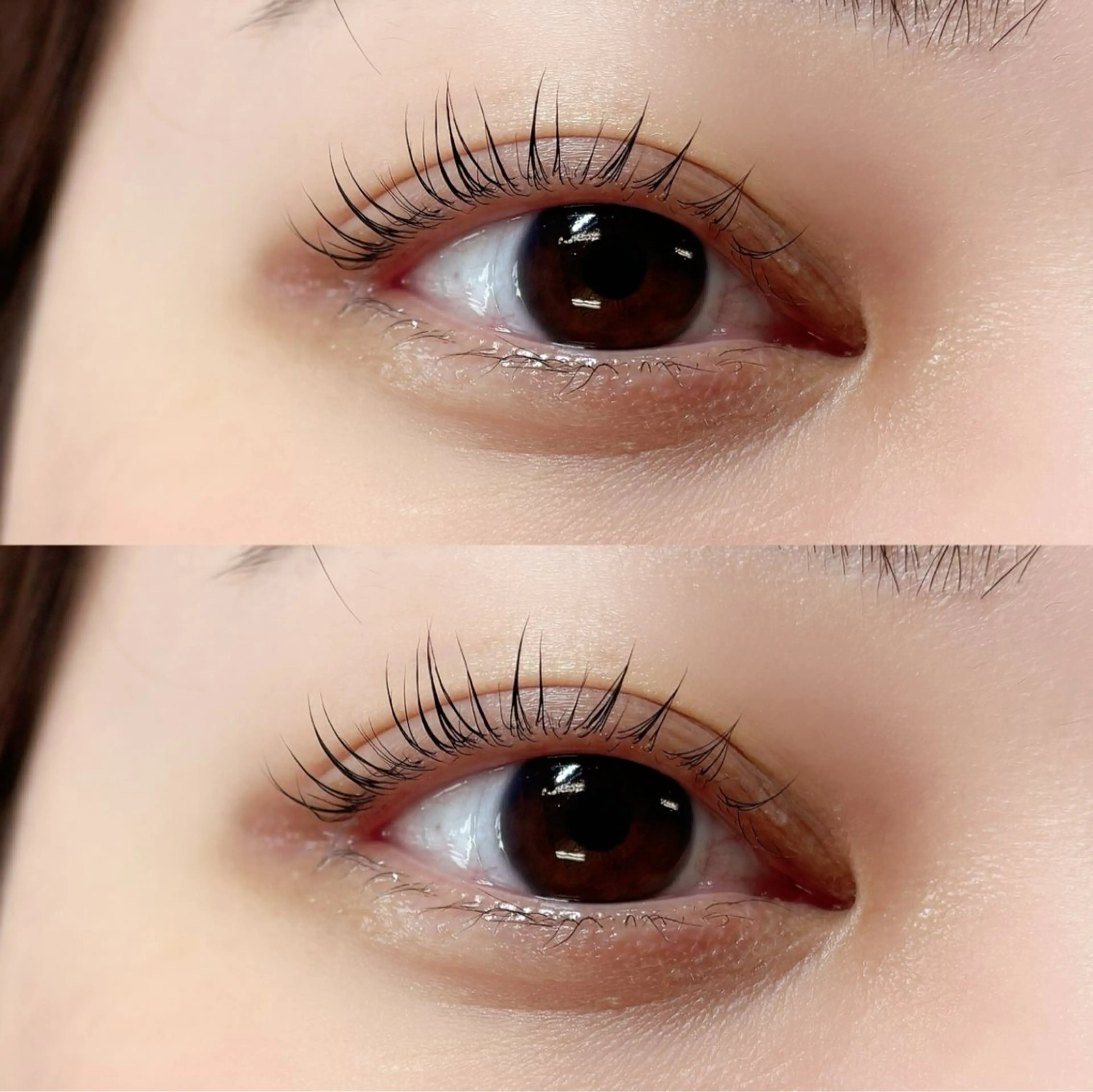 マツエク・マツパ daisy天王寺 松山のマツエク・マツパデザイン