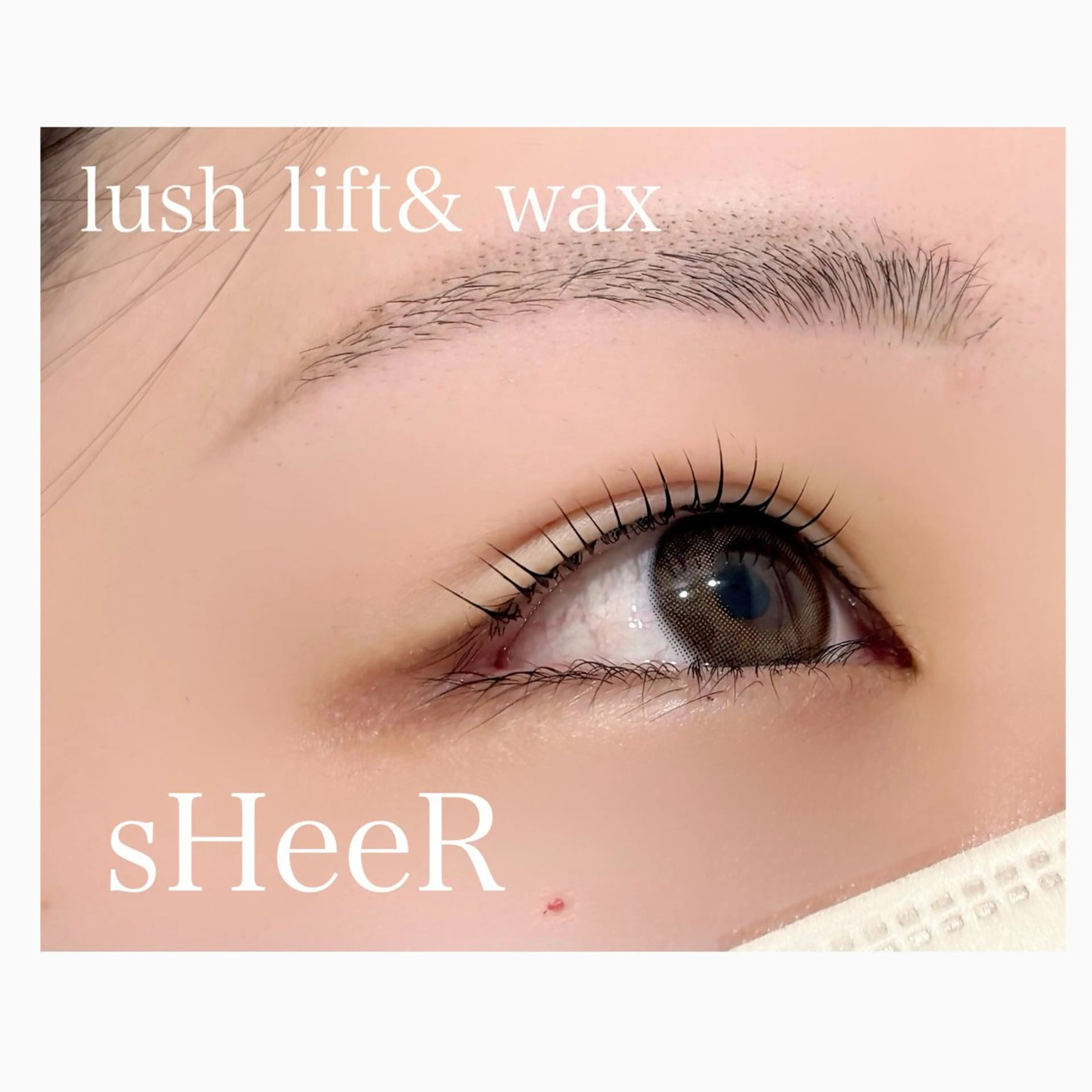 マツエク・マツパ ワックス脱毛 眉カット その他(アイブロウ) 川越駅東口 sHeeR.mayuのマツエク・マツパデザイン