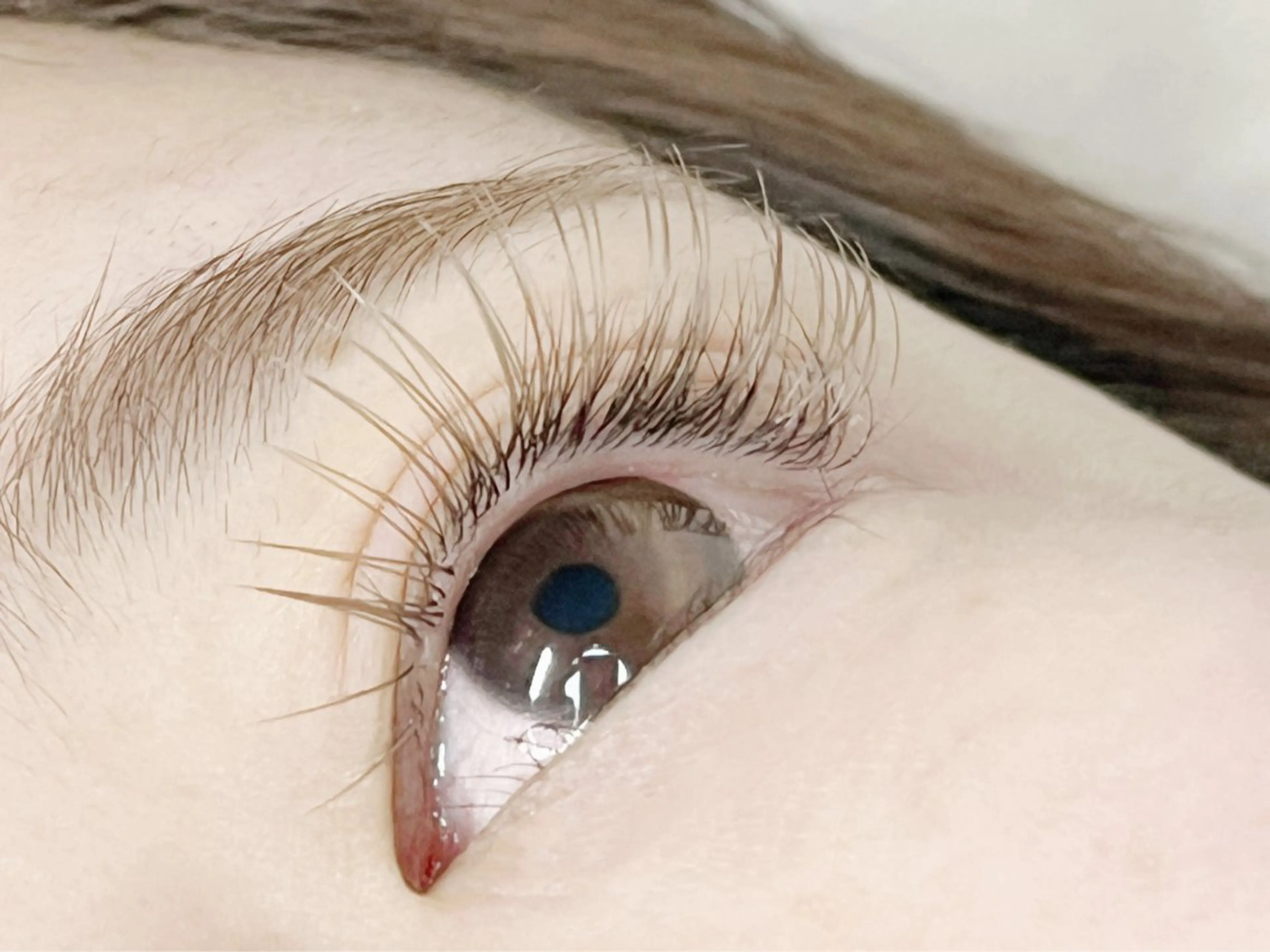 マツエク・マツパ Myotis 松永のマツエク・マツパデザイン