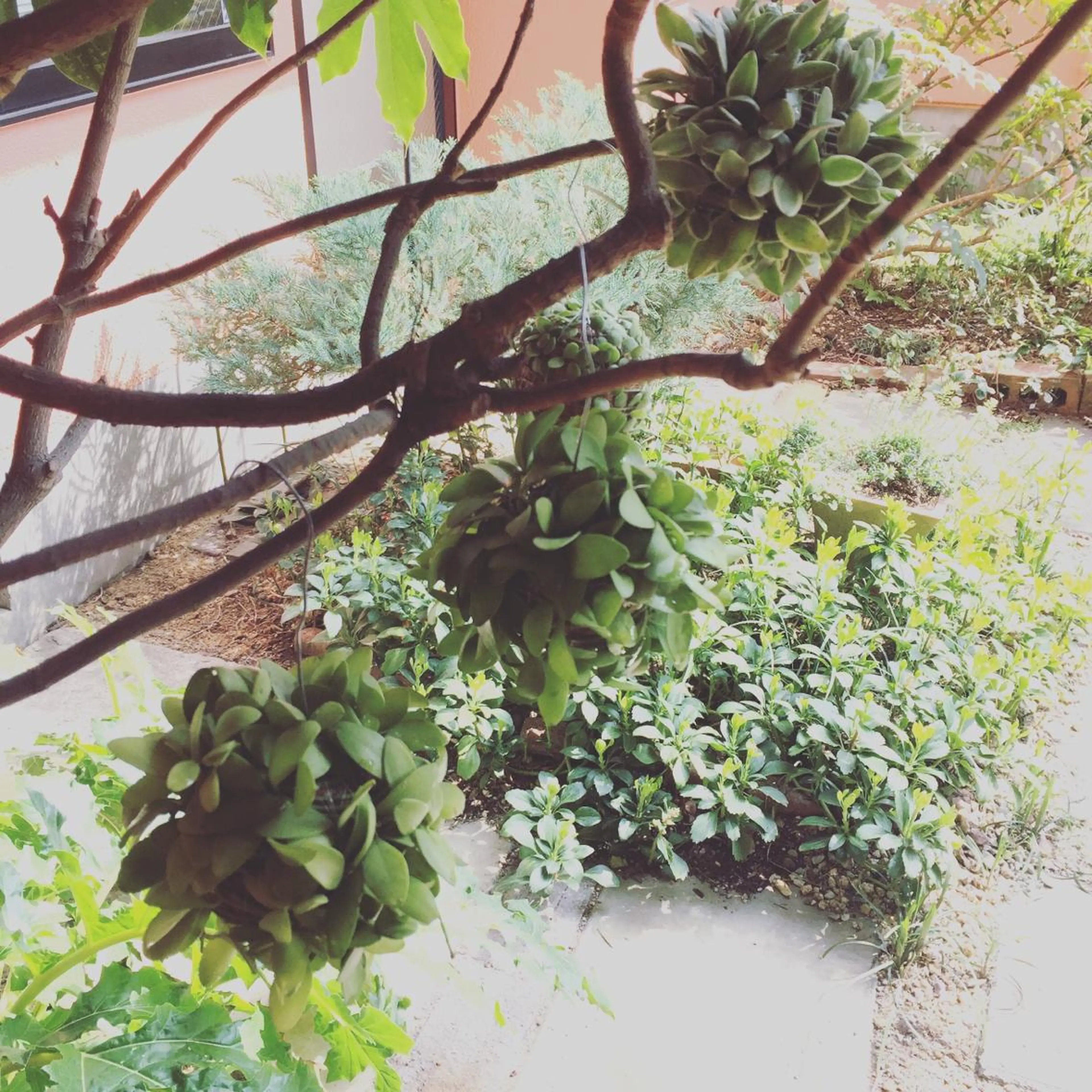 miya norikoの眉毛・アイブロウイメージ