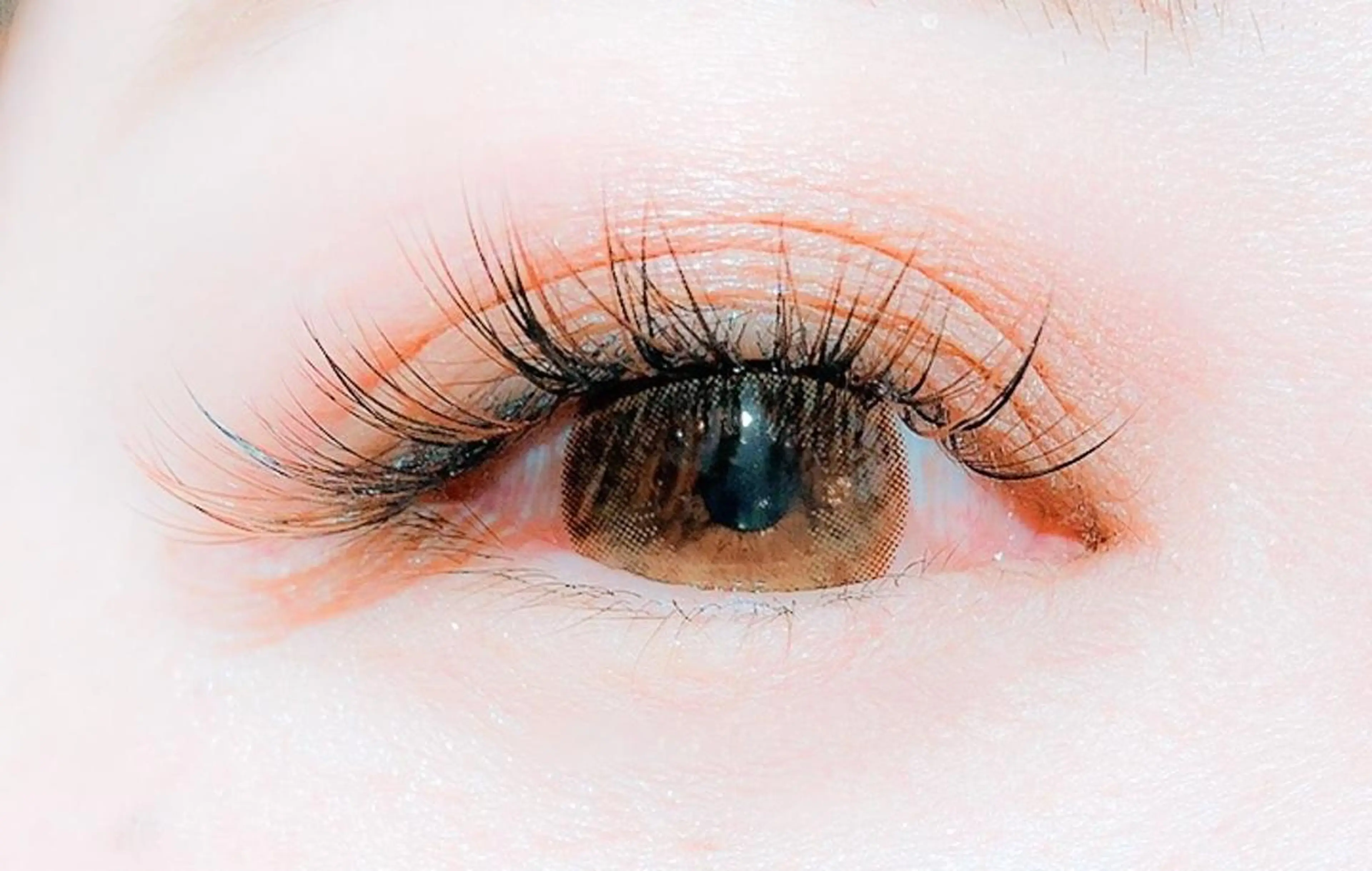 👑ご新規様限定 フラットセーブル140本👑の写真