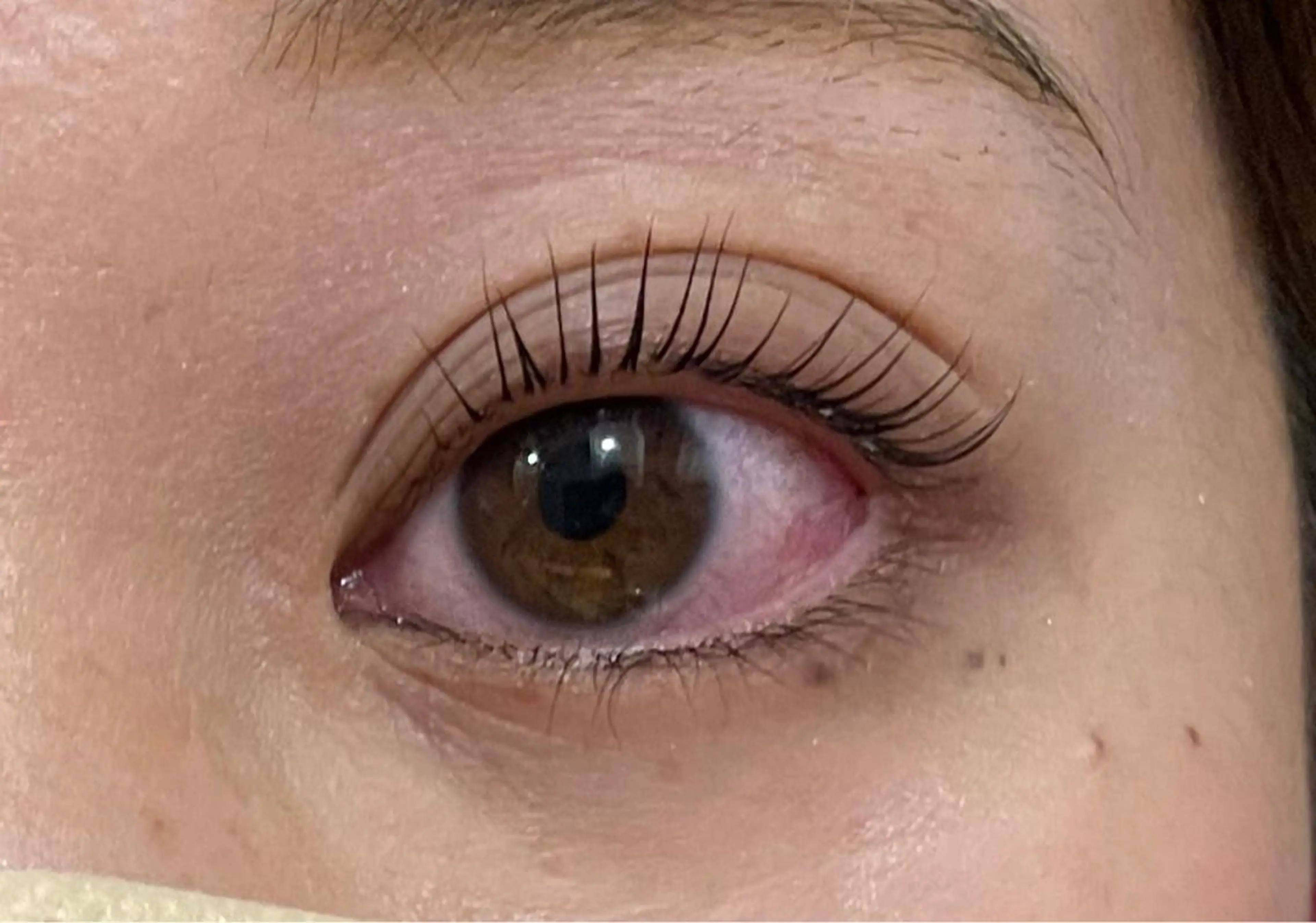 マツエク・マツパ マツパ マリーテレジア 🌻RUKAのマツエク・マツパデザイン