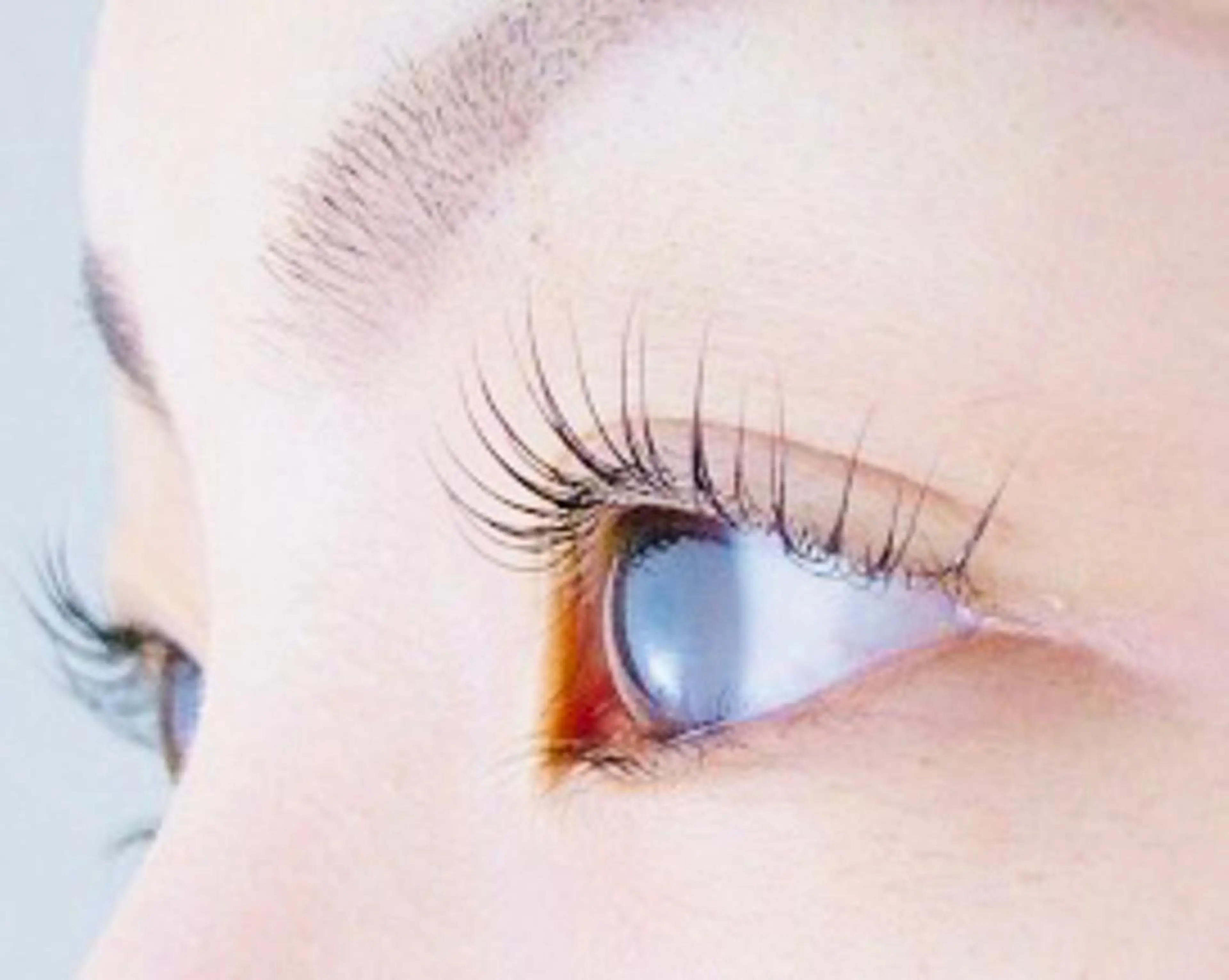 ❤️当店初回限定❤️まつ毛パーマ【上】➕トリートメント付の写真