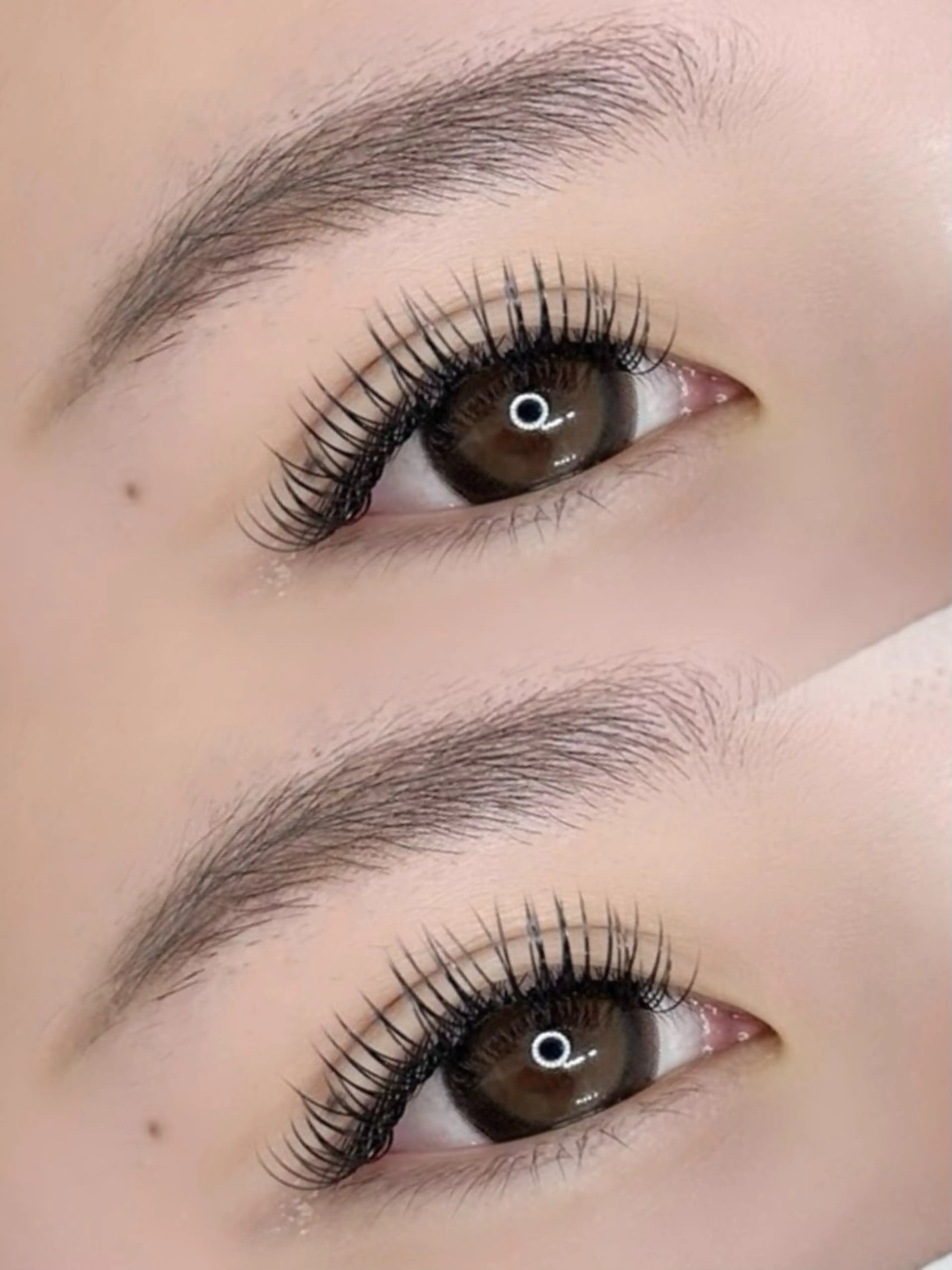 持続力No.1!【最新技術×超軽量】メガフラットラッシュ40束《120本》の写真