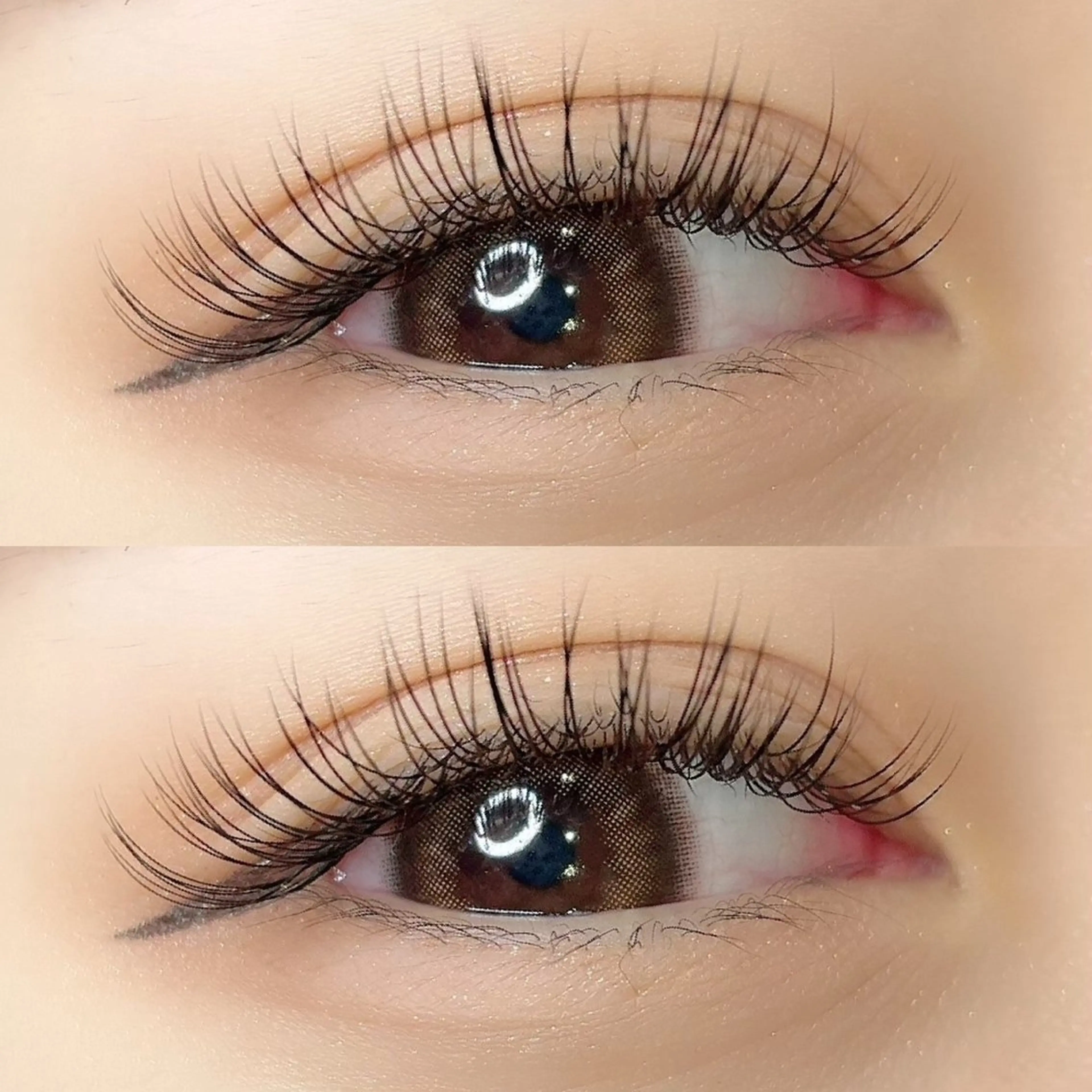 フラットラッシュ130本🪄の写真