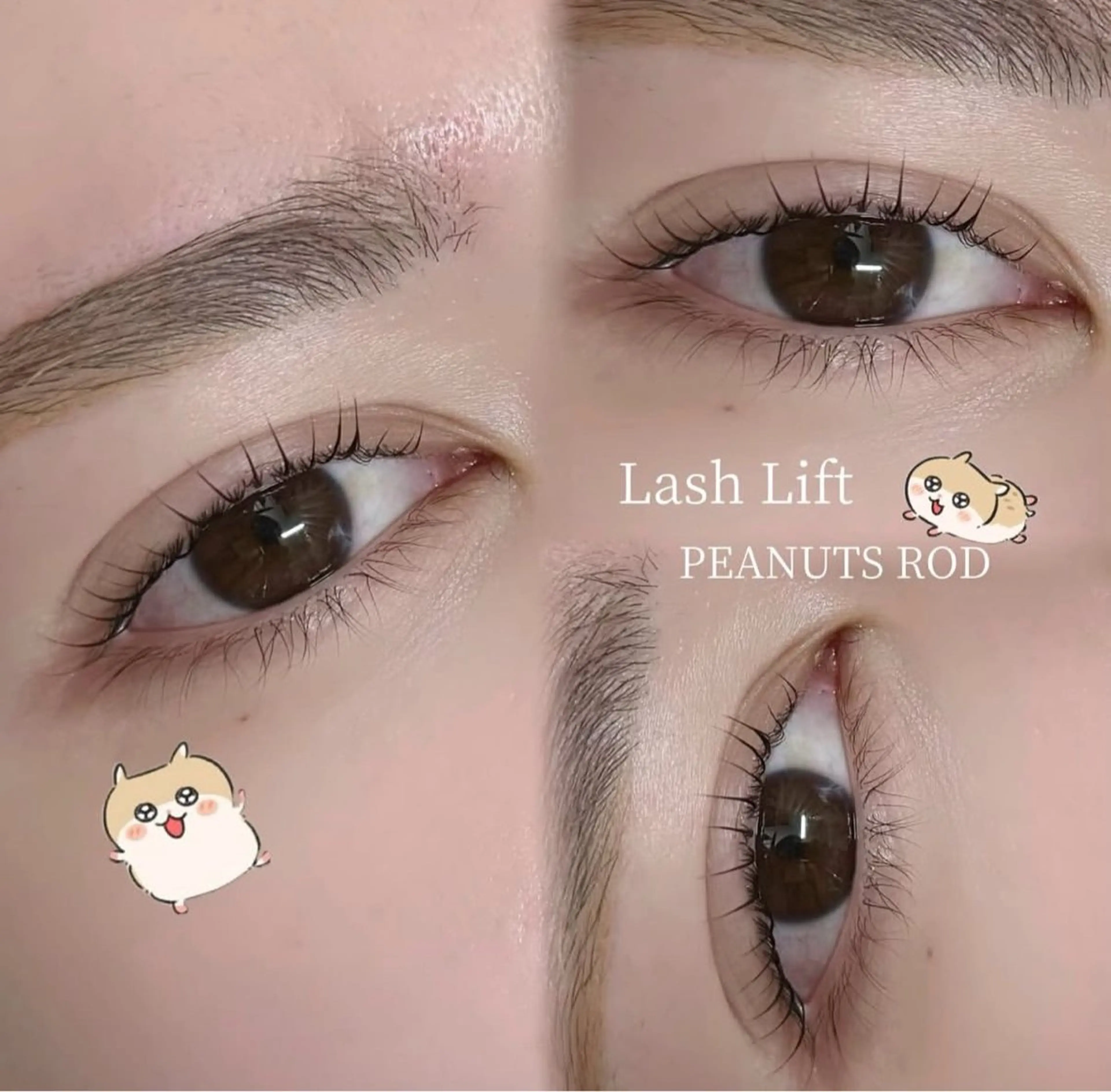 マツエク・マツパ マツパ mikaze| モテ眉No.1🎀の眉毛・アイブロウイメージ