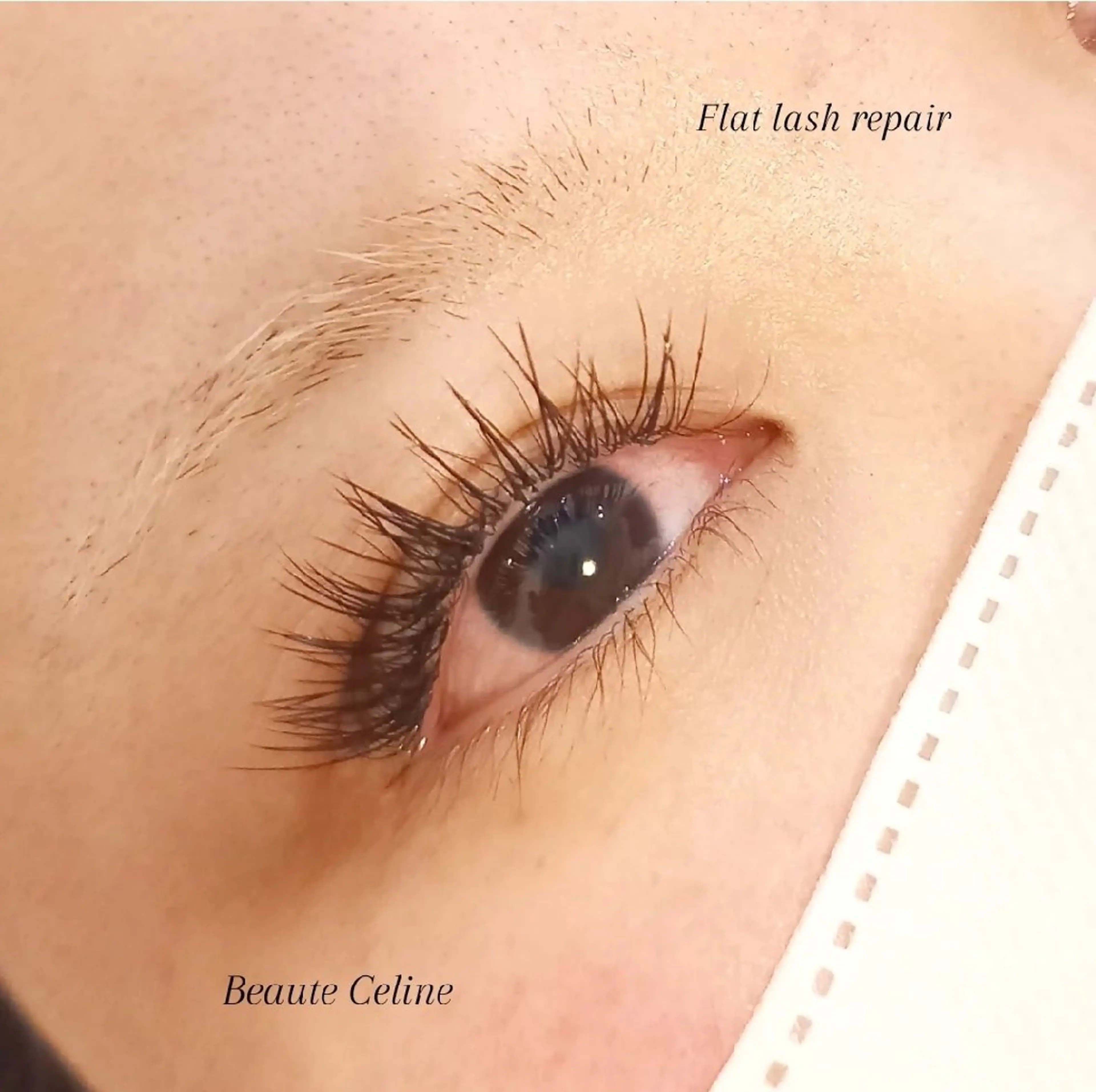 マツエク・マツパ マツエク beaute.celine所属・8時～✨beaute Celine🌛🌹のマツエク・マツパデザイン