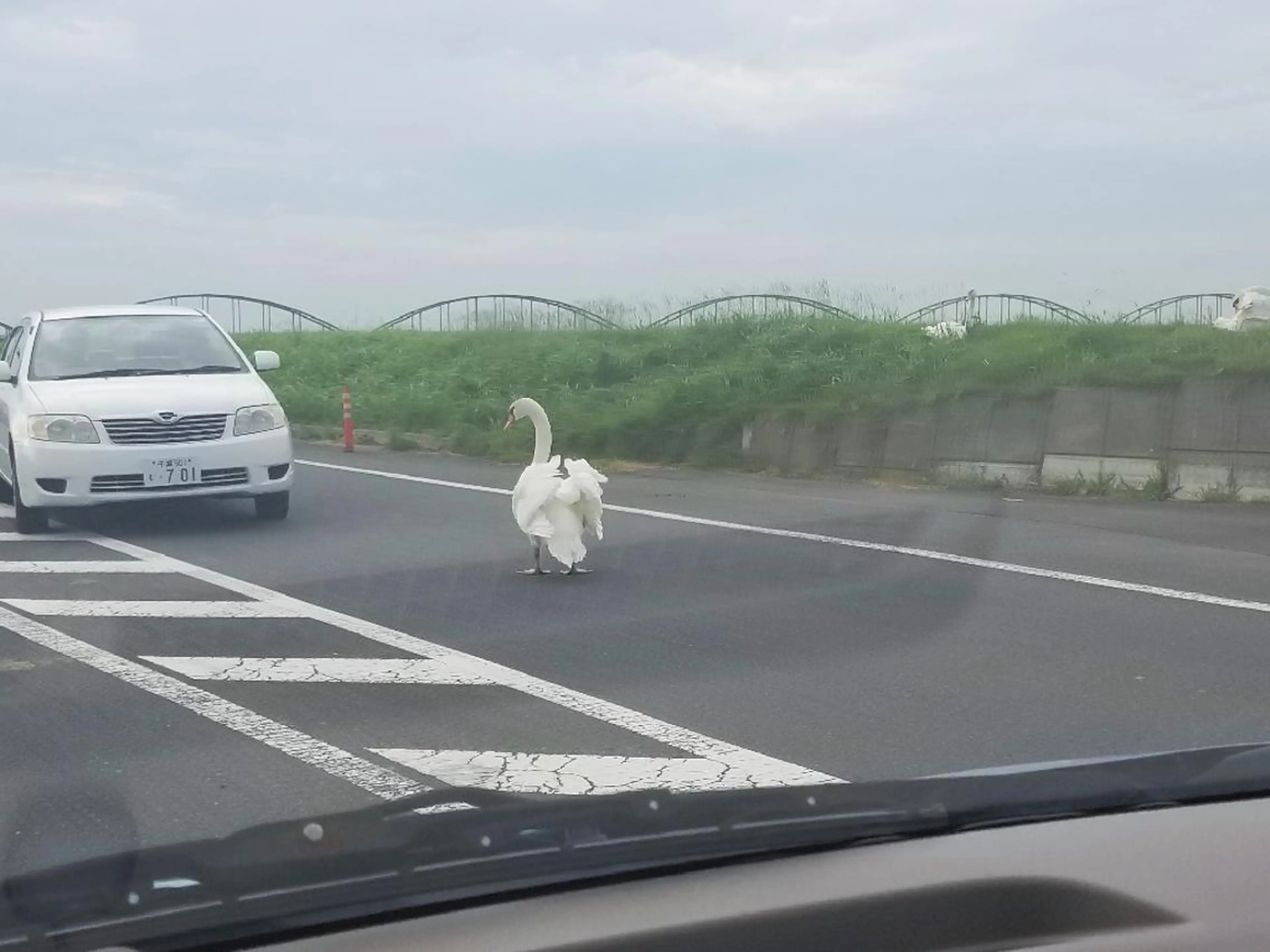 谷 結奈のヘアスタイル