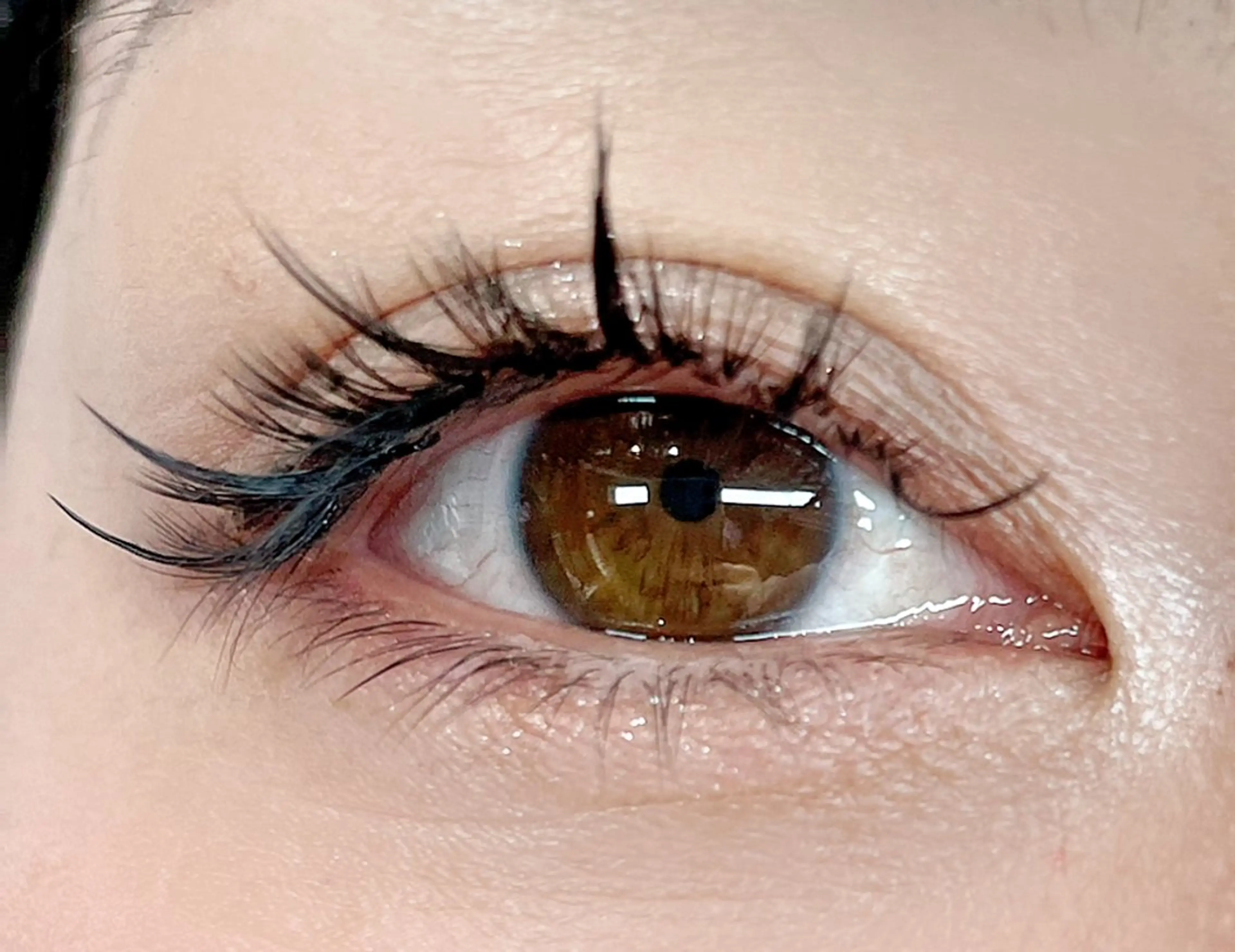 デザインエクステ(ワンホン)練習モデルさん募集‼︎🌟オフなし⚠️補足説明をよくご確認ください⚠️の写真