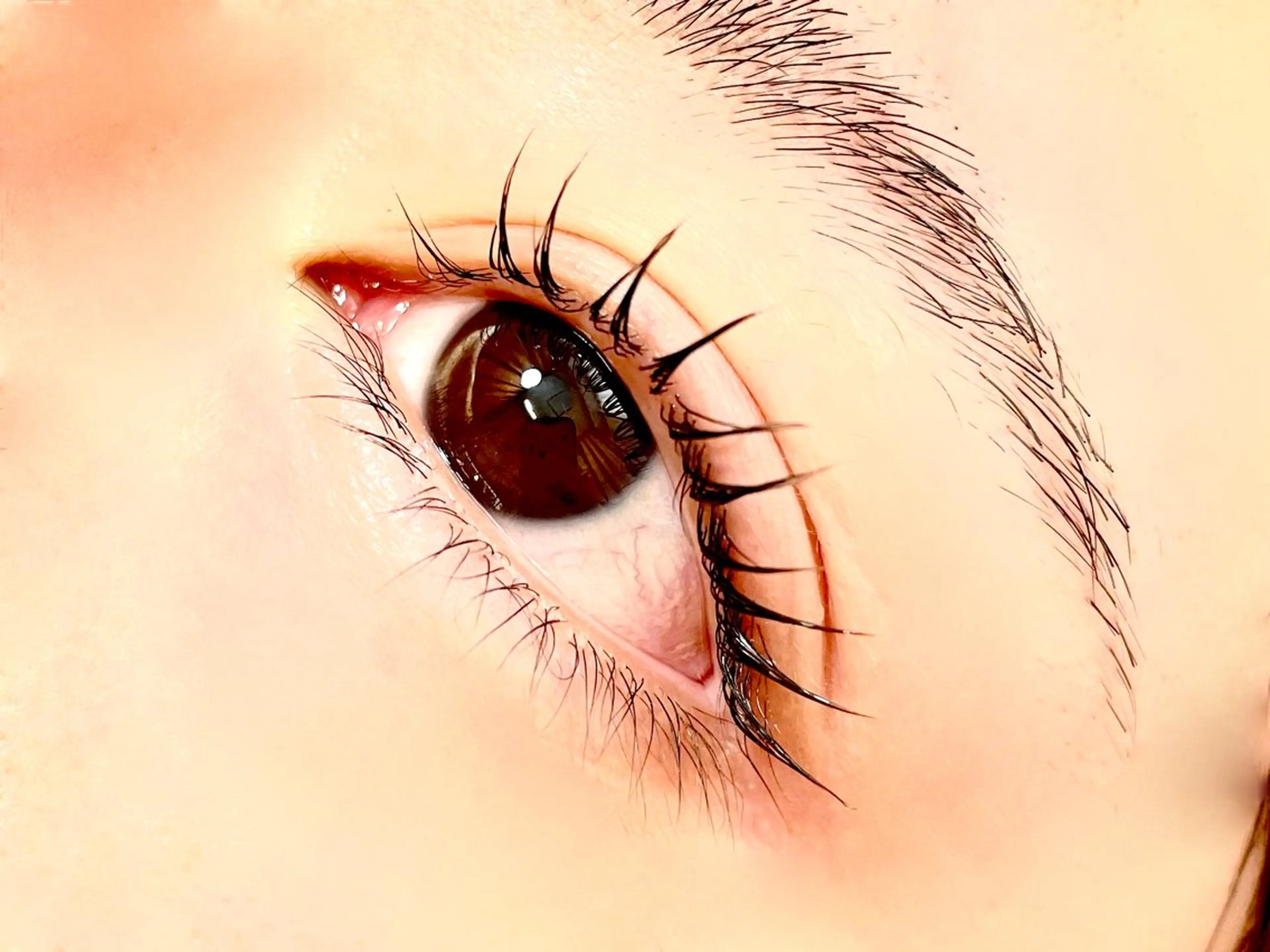 マツエク・マツパ マツパ yamamoto 🥀のマツエク・マツパデザイン