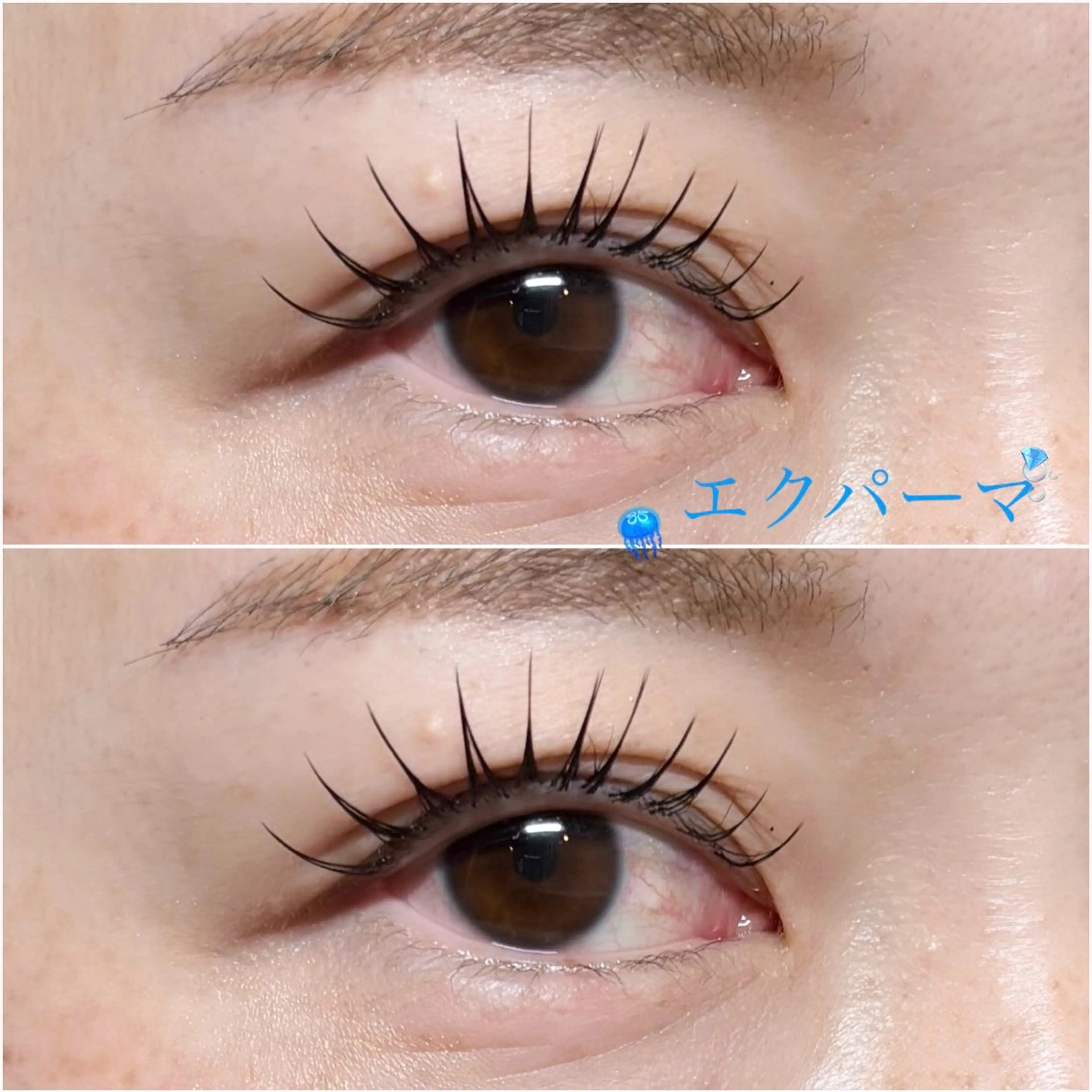 エクパーマ💫LEDグルー使用🫧オフ有80本 オフ無100本の写真