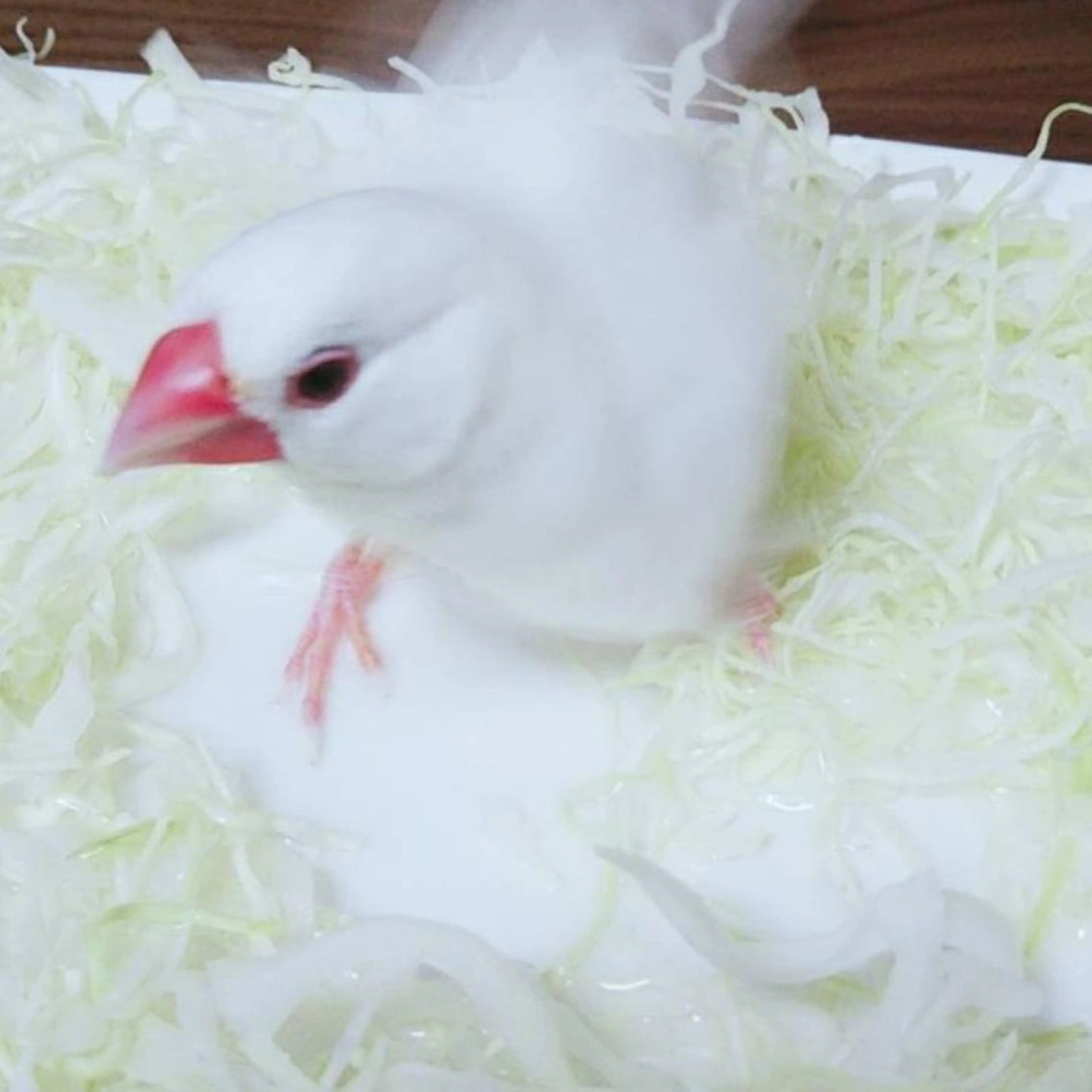 g*rossa高橋 くみこのエステ・リラクイメージ