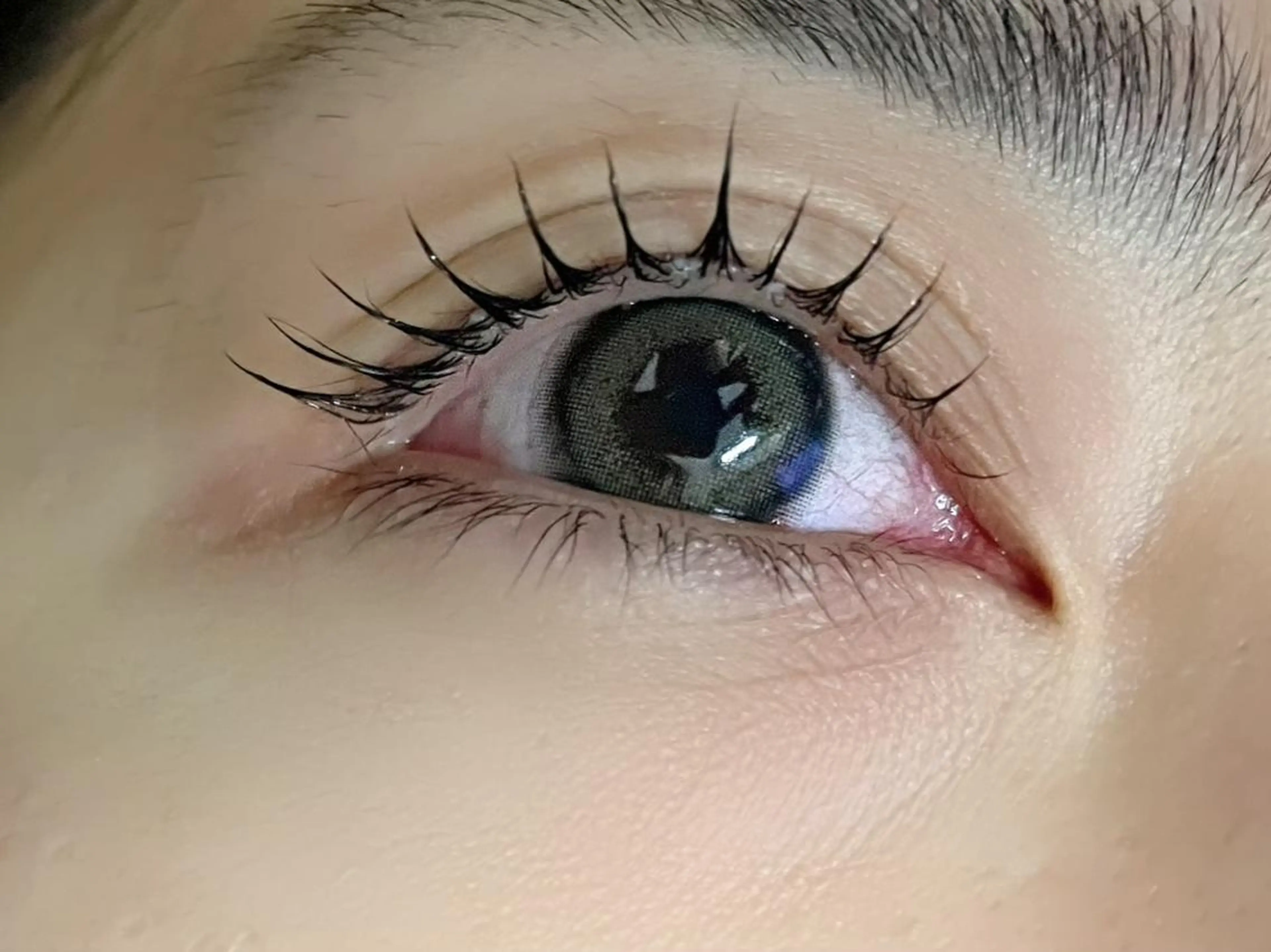 マツエク・マツパ マツパ Fave【フェイブ】 まつパ/眉毛/メンズの眉毛・アイブロウイメージ