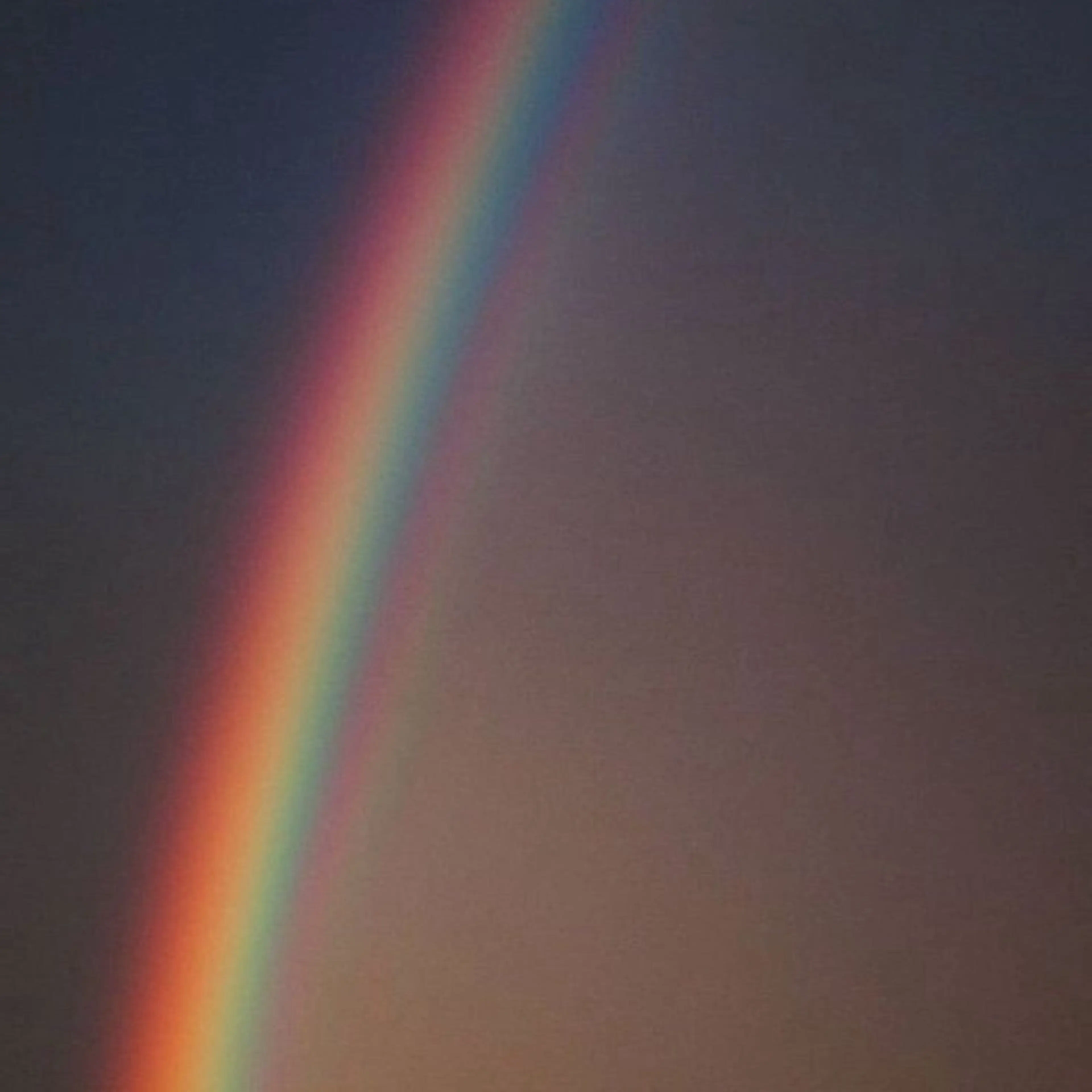 shiho .のヘアスタイル