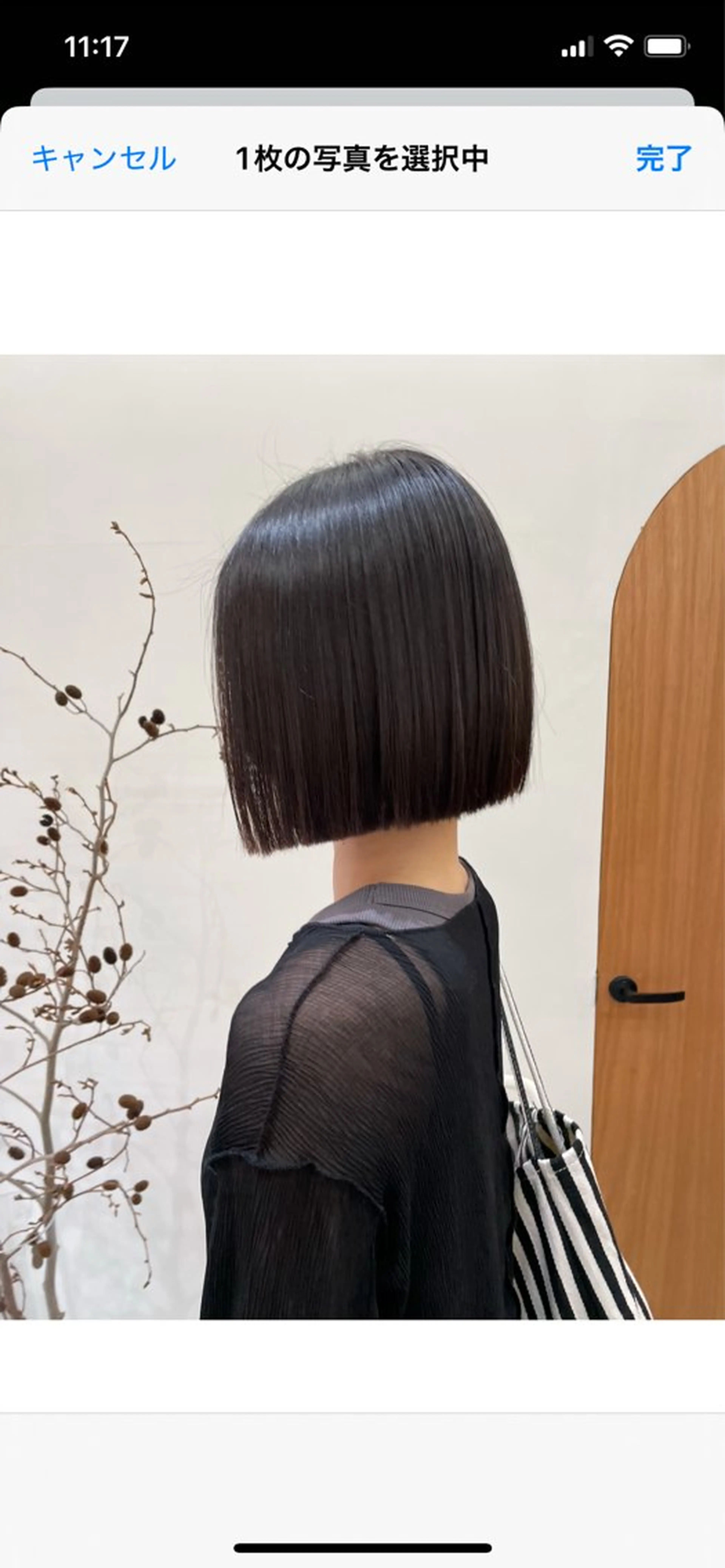 ミディアム カラー パーマ ヘアアレンジ メンズ ボブ カット ヘアカラー トリートメント tatsumi/ボブ ウルフ/レイヤーのヘアスタイル