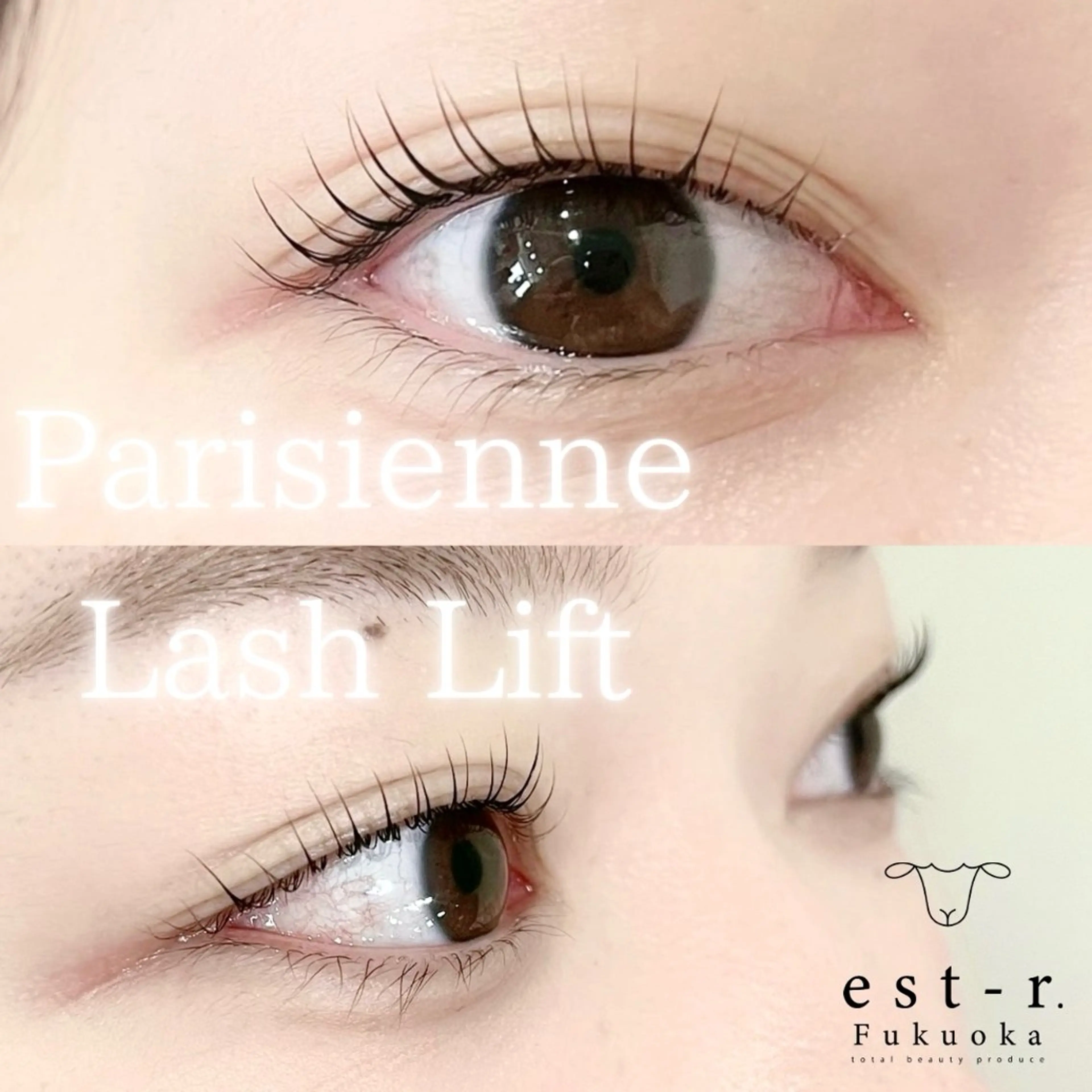 マツエク・マツパ 束感まつ毛 韓国風マツエク パリジェンヌラッシュリフト 一重×まつ毛パーマ ワンホンマツエク マツパ Riho/博多/ まつげパーマ/LEDのマツエク・マツパデザイン