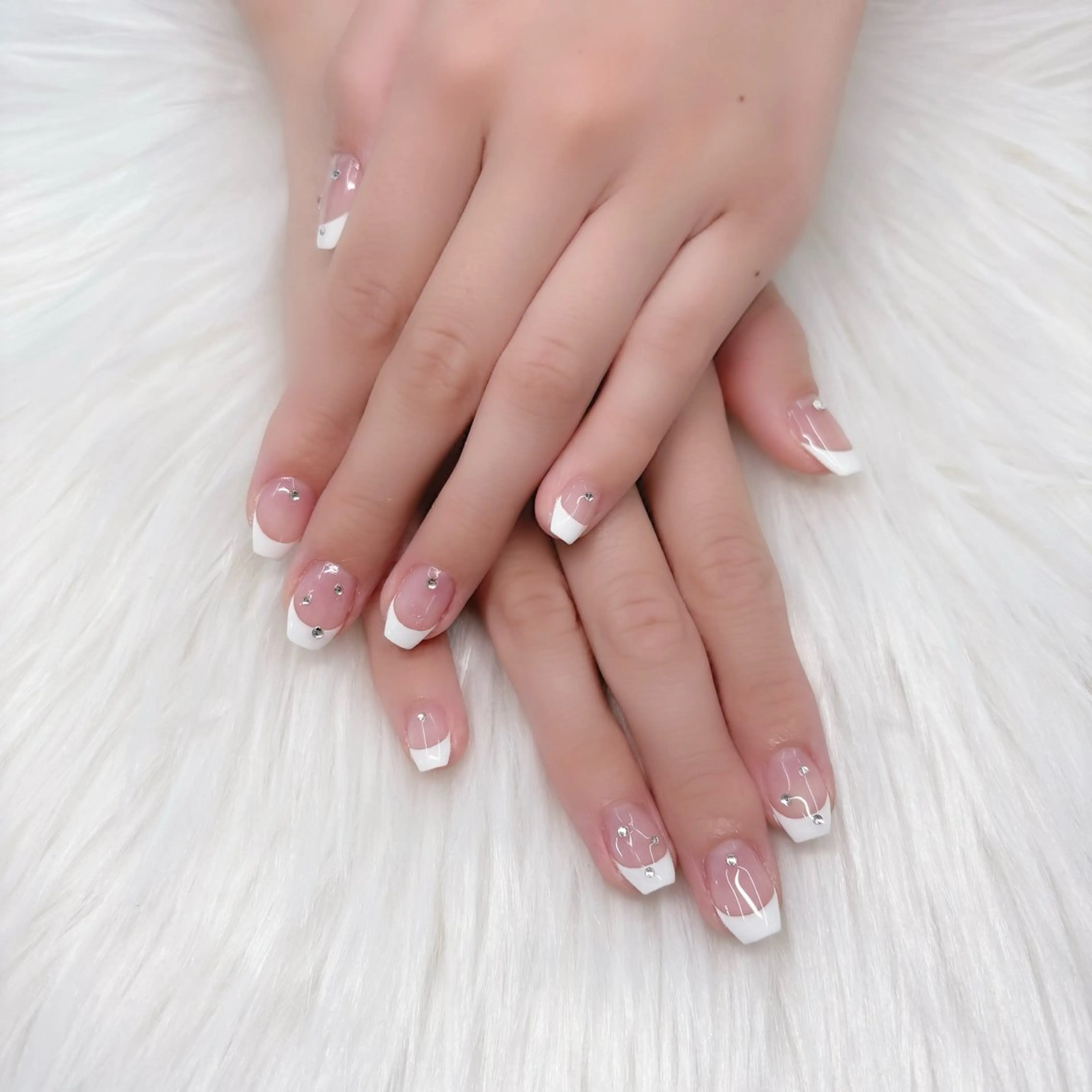 【ずっとオフ無料🎶】フレンチの写真