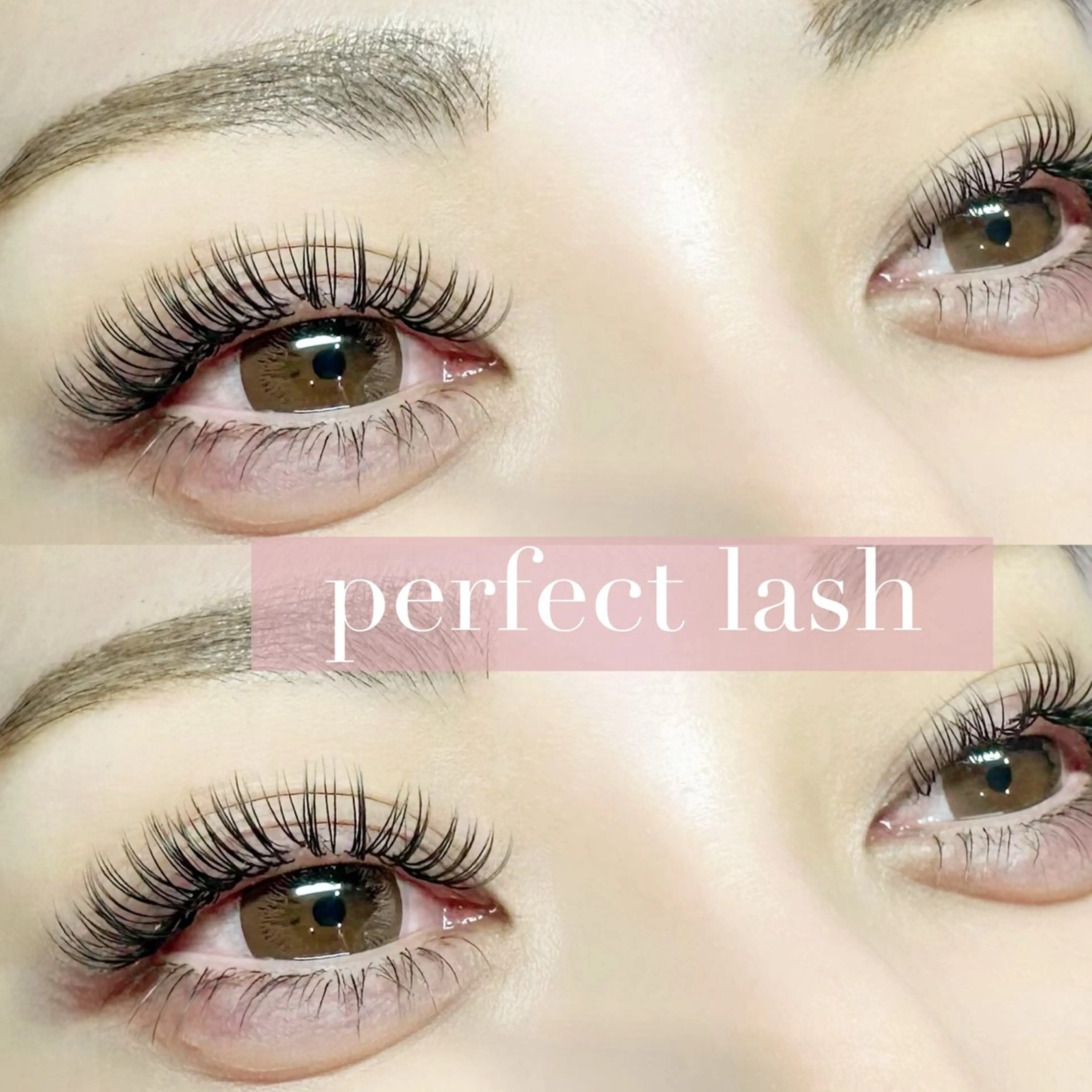 【持ちがいい】パーフェクトラッシュ 200本🌷オフ込の写真