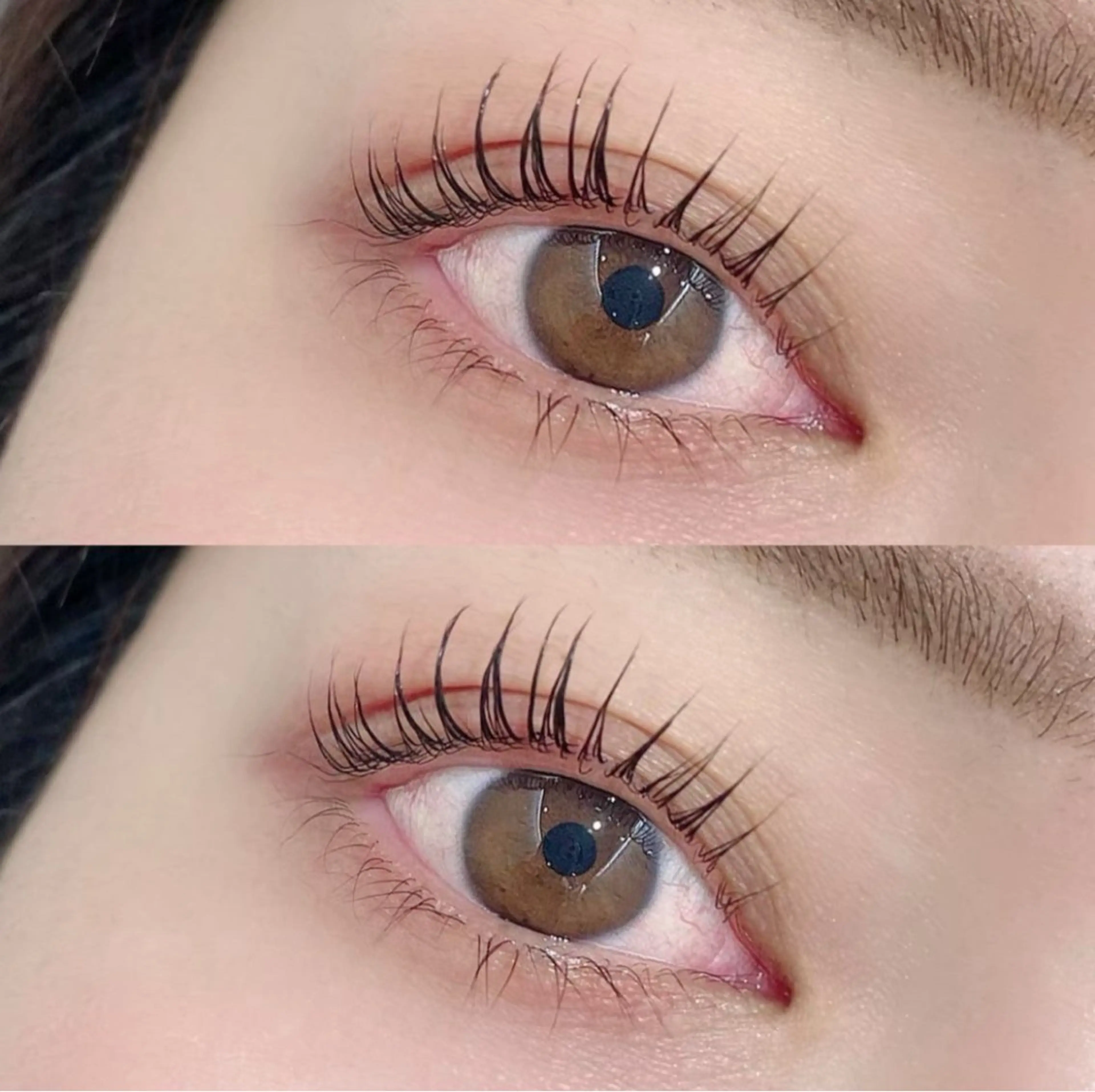 🎀✨眉毛ワックス➕まつ毛パーマ✨🎀 /女性限定の写真