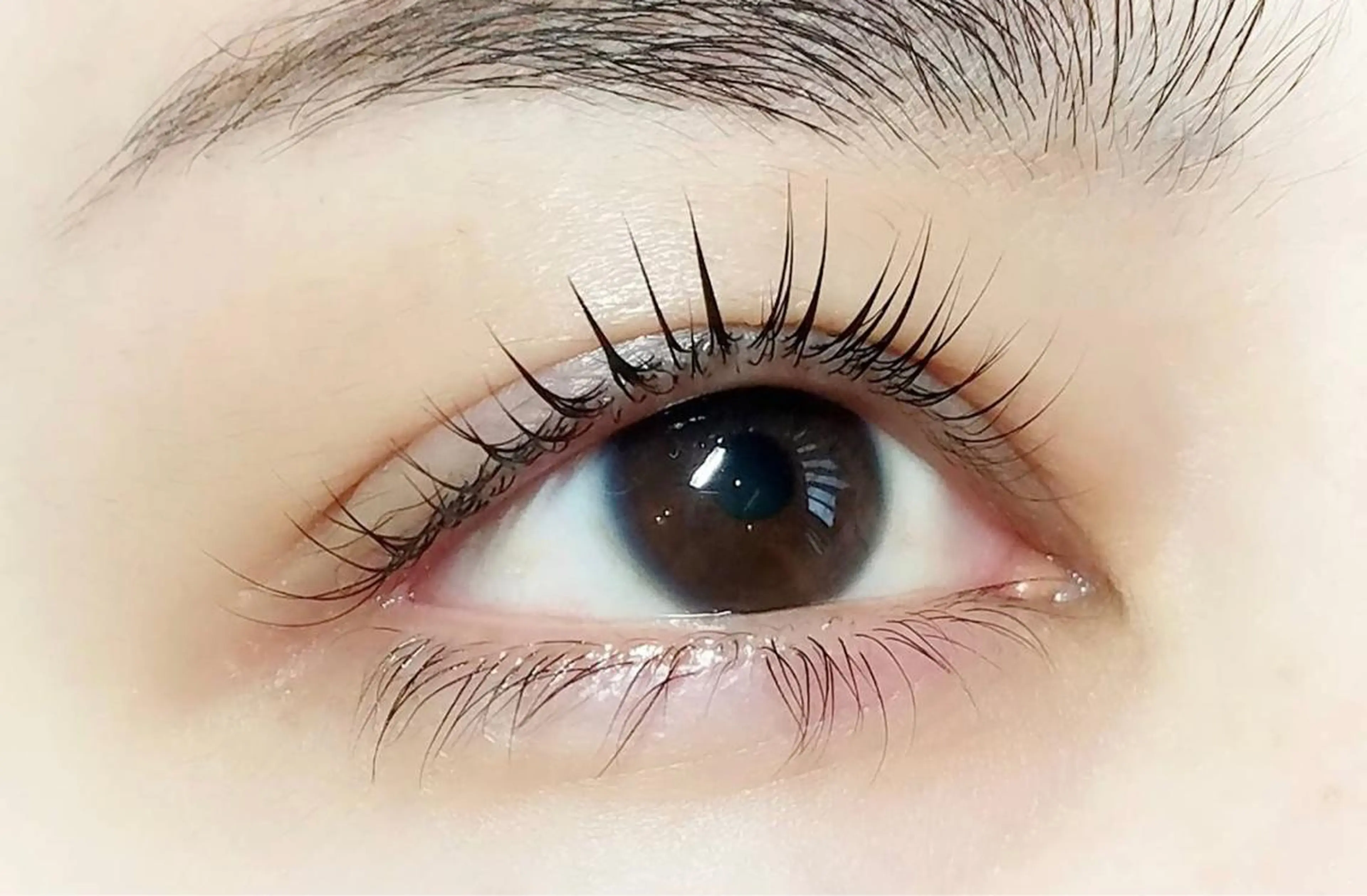 マツエク・マツパ パリジェンヌラッシュリフト Fairytail excellentのマツエク・マツパデザイン