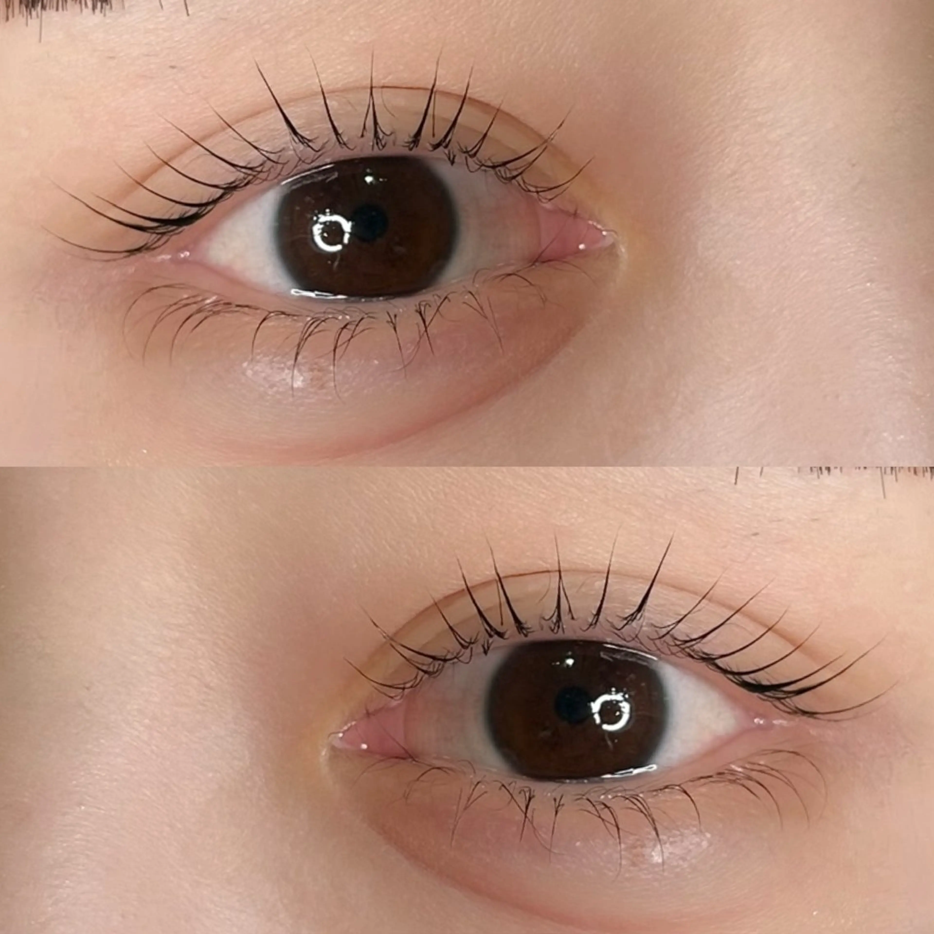 【上下👀睫毛パーマ】✨高級トリートメント&コーティング付✨の写真