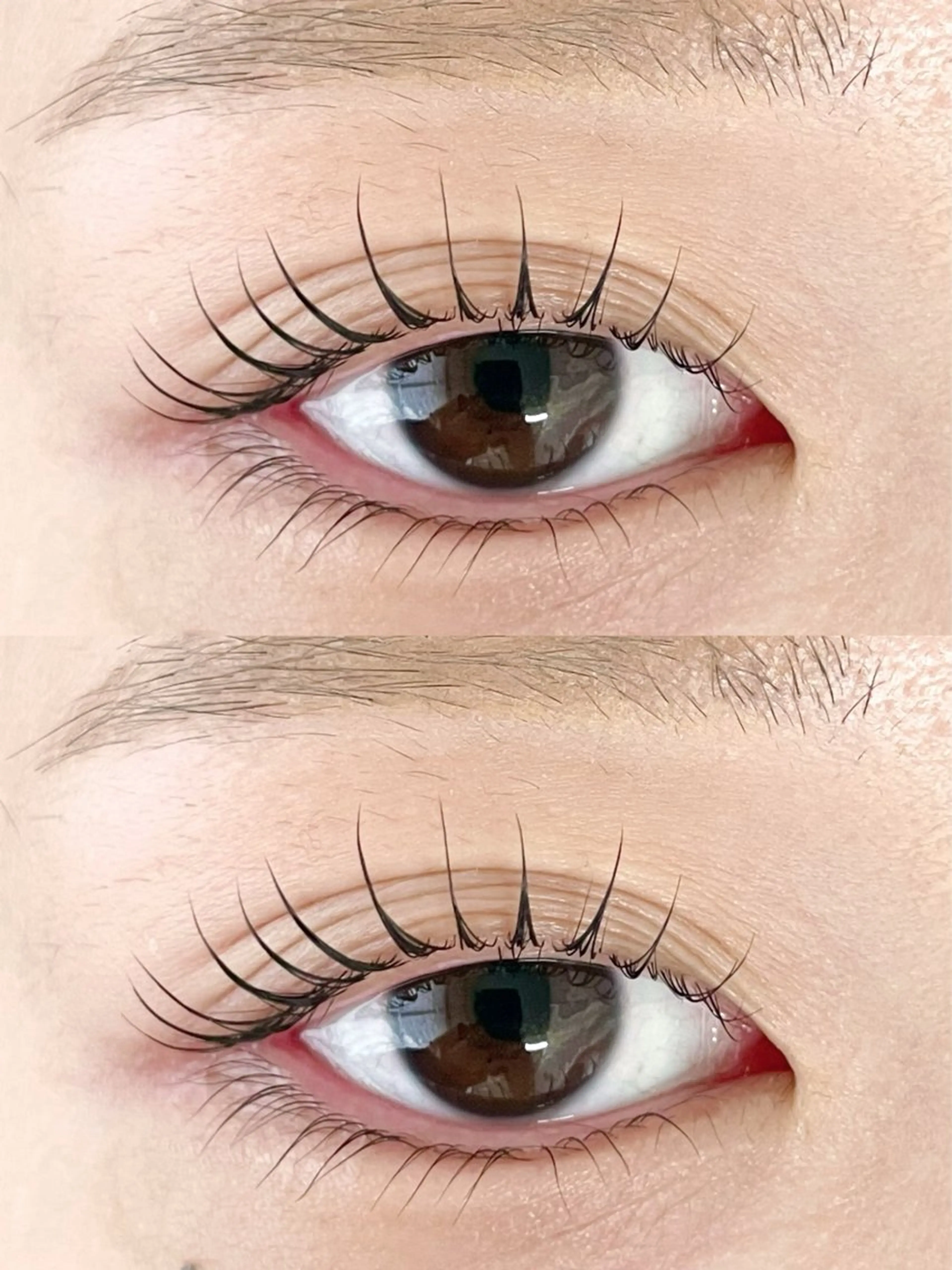 プレオープン記念価格💡上下まつ毛パーマ🦋の写真