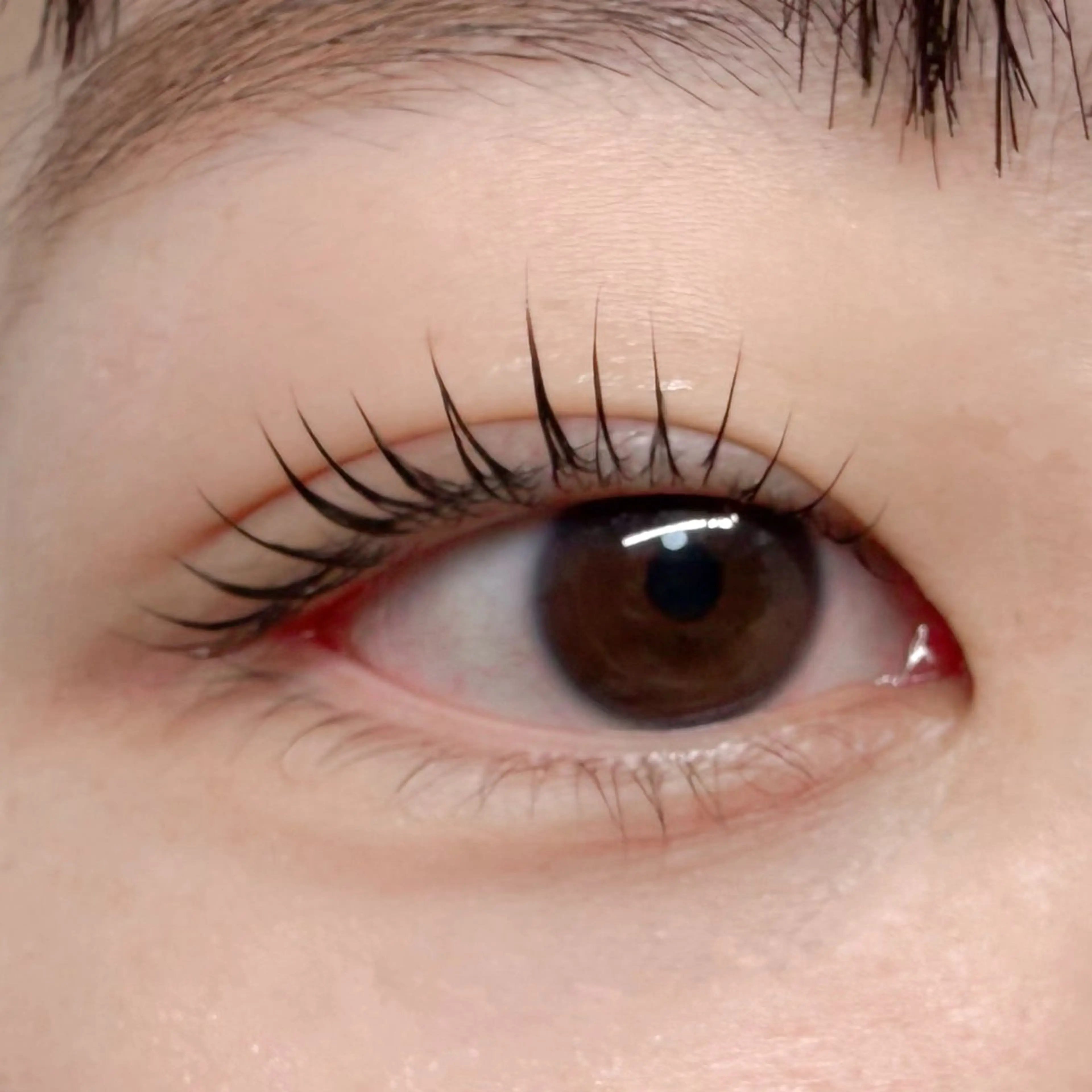 マツエク・マツパ マツパ 杉野 まみのマツエク・マツパデザイン