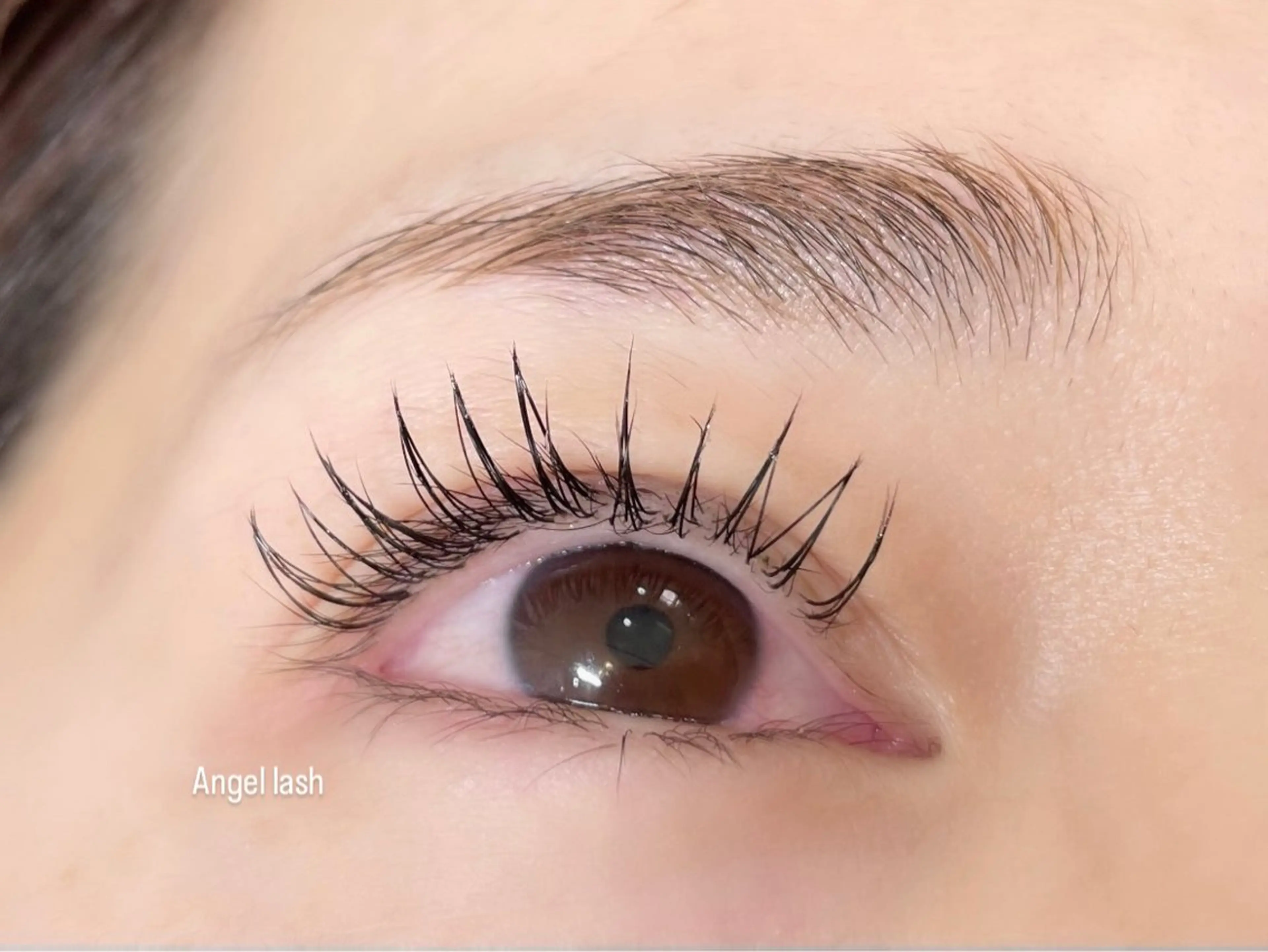マツエク・マツパ Angel lash kanekoのマツエク・マツパデザイン