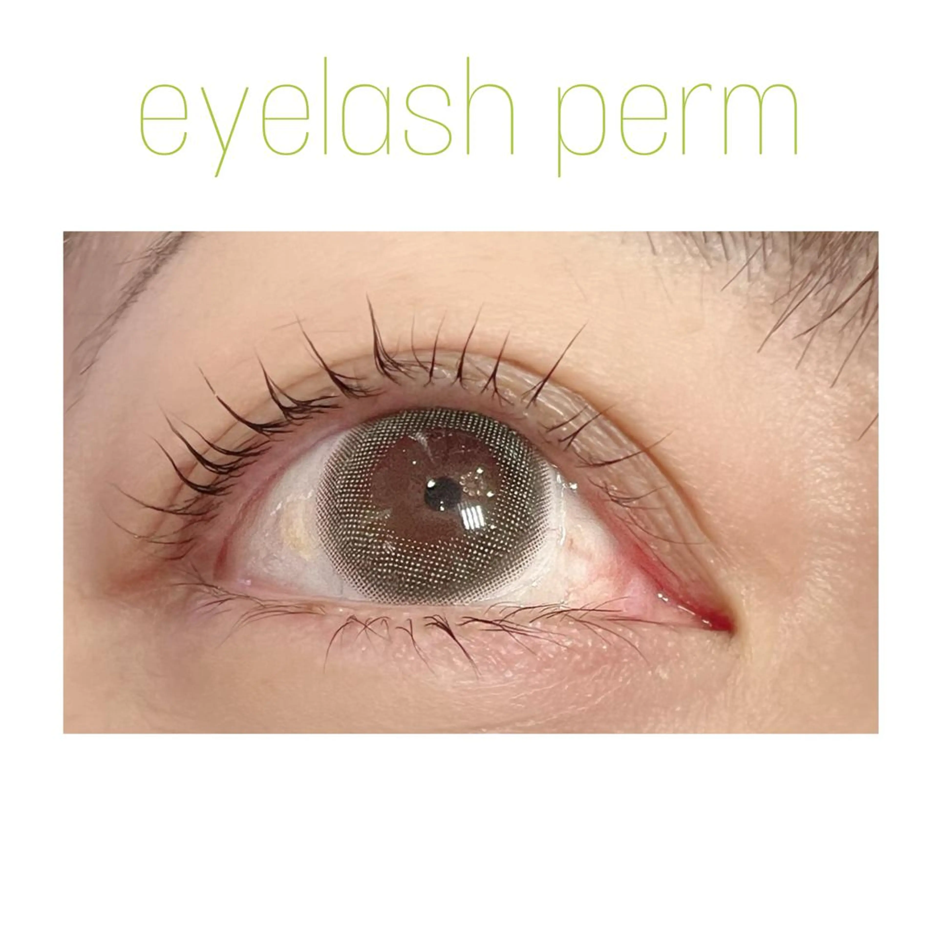 マツエク・マツパ ケラチンラッシュリフト 一重×まつ毛パーマ 藤川 瑛梨奈のマツエク・マツパデザイン