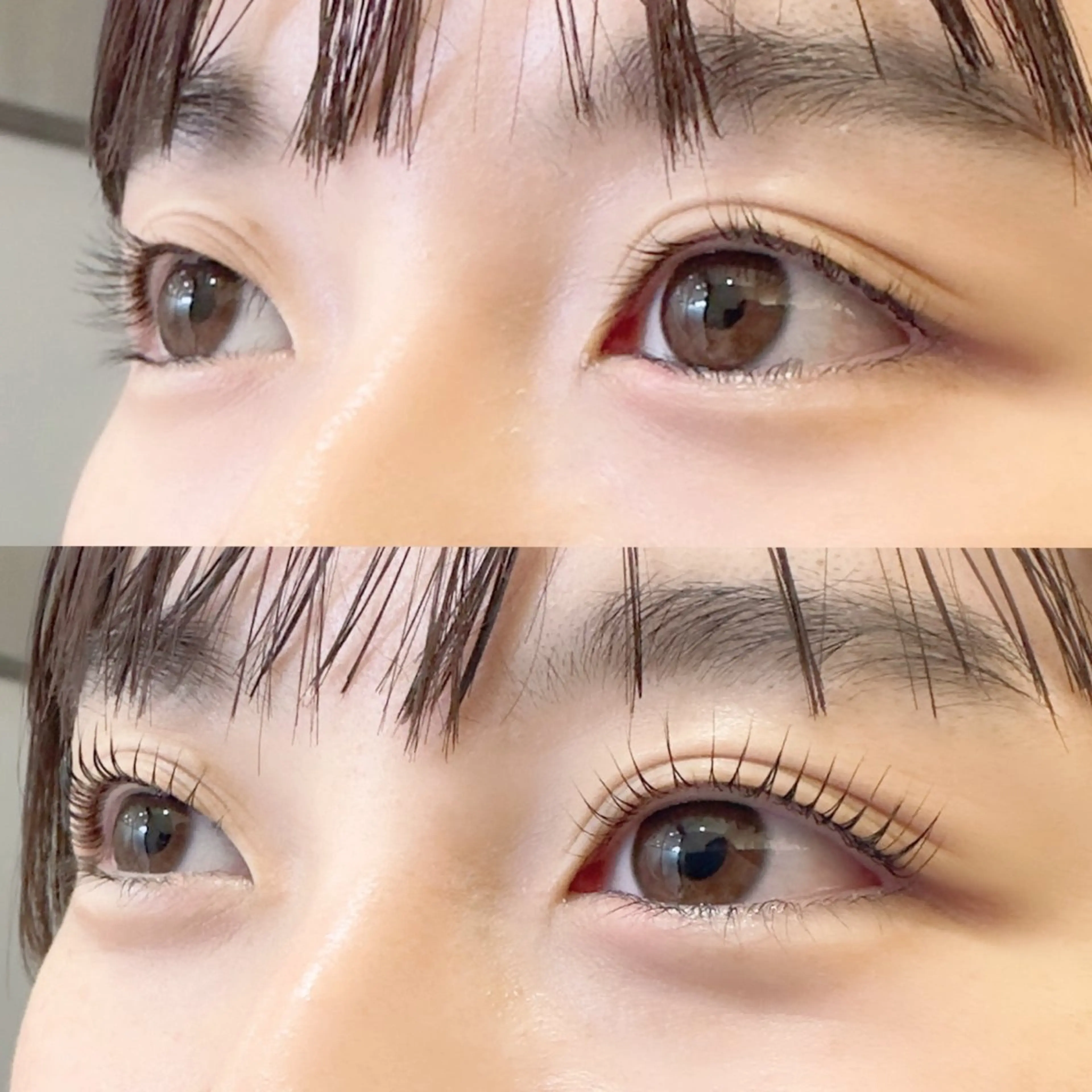 【ご新規様限定🌼】まつげパーマ　/ ラッシュリフトの写真