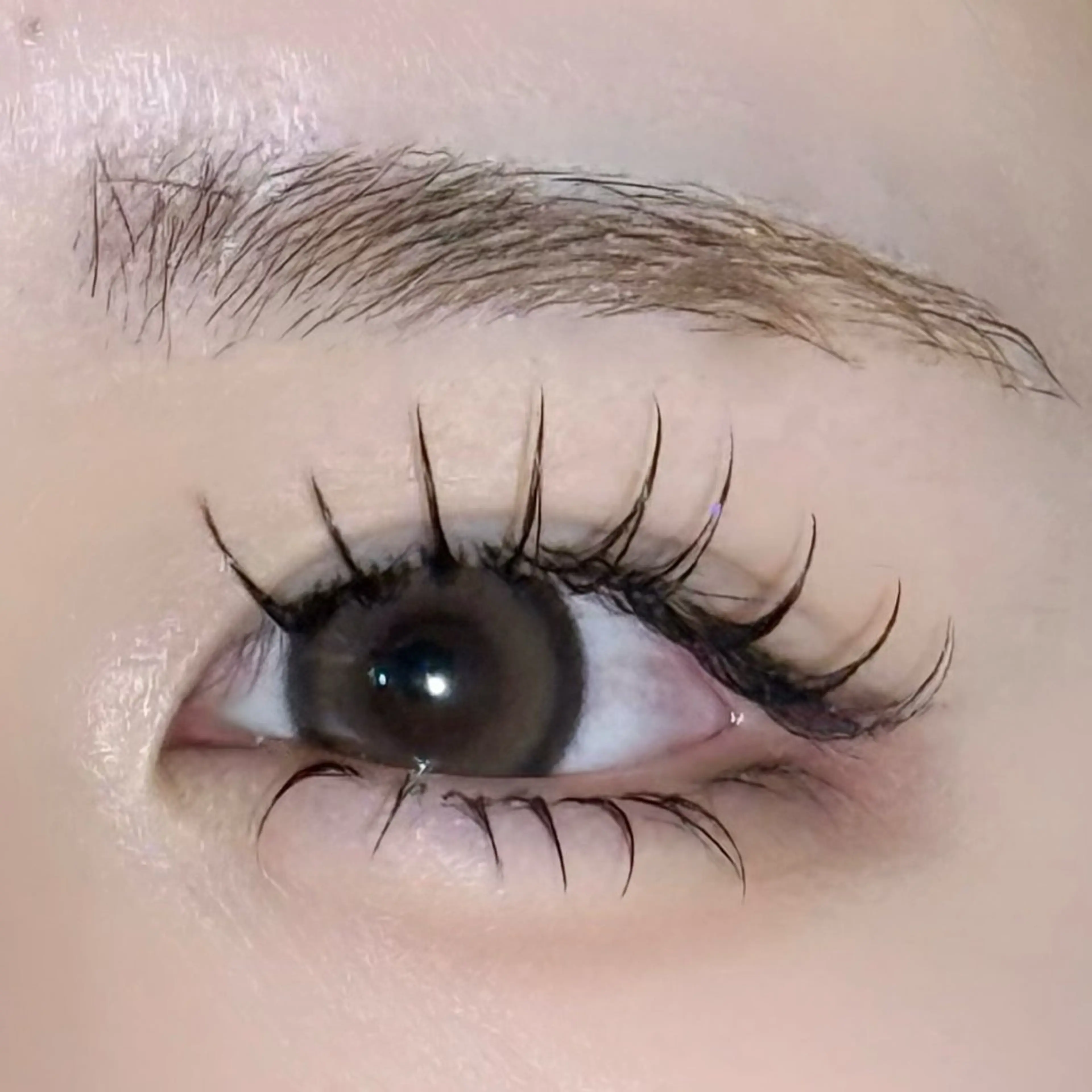 マツエク・マツパ 下まつげエクステ マツエク まつパ/マツエク/ HARUNA🎀🤍のマツエク・マツパデザイン