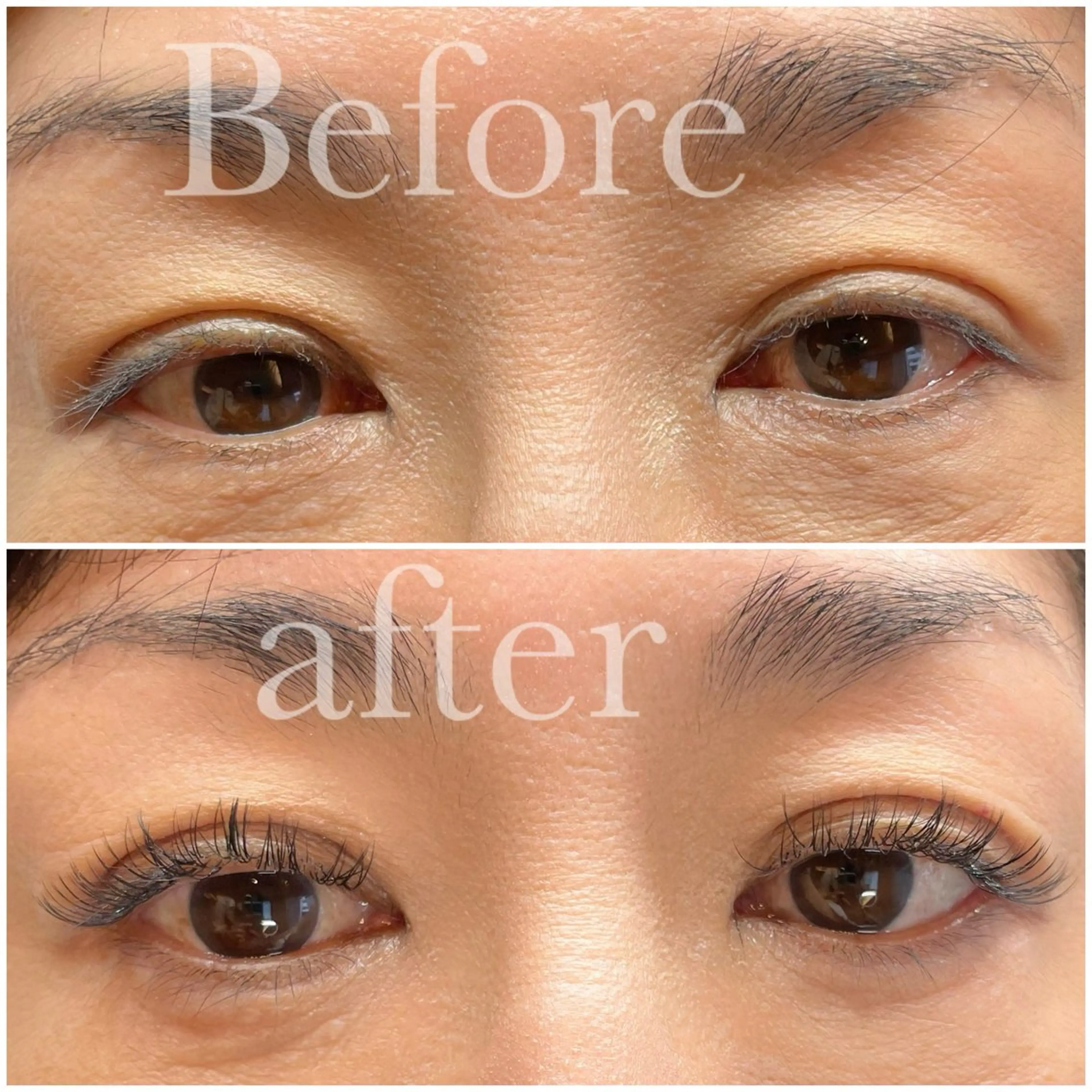 マツエク・マツパ 新小岩まつ毛眉毛 BelkaLashのマツエク・マツパデザイン