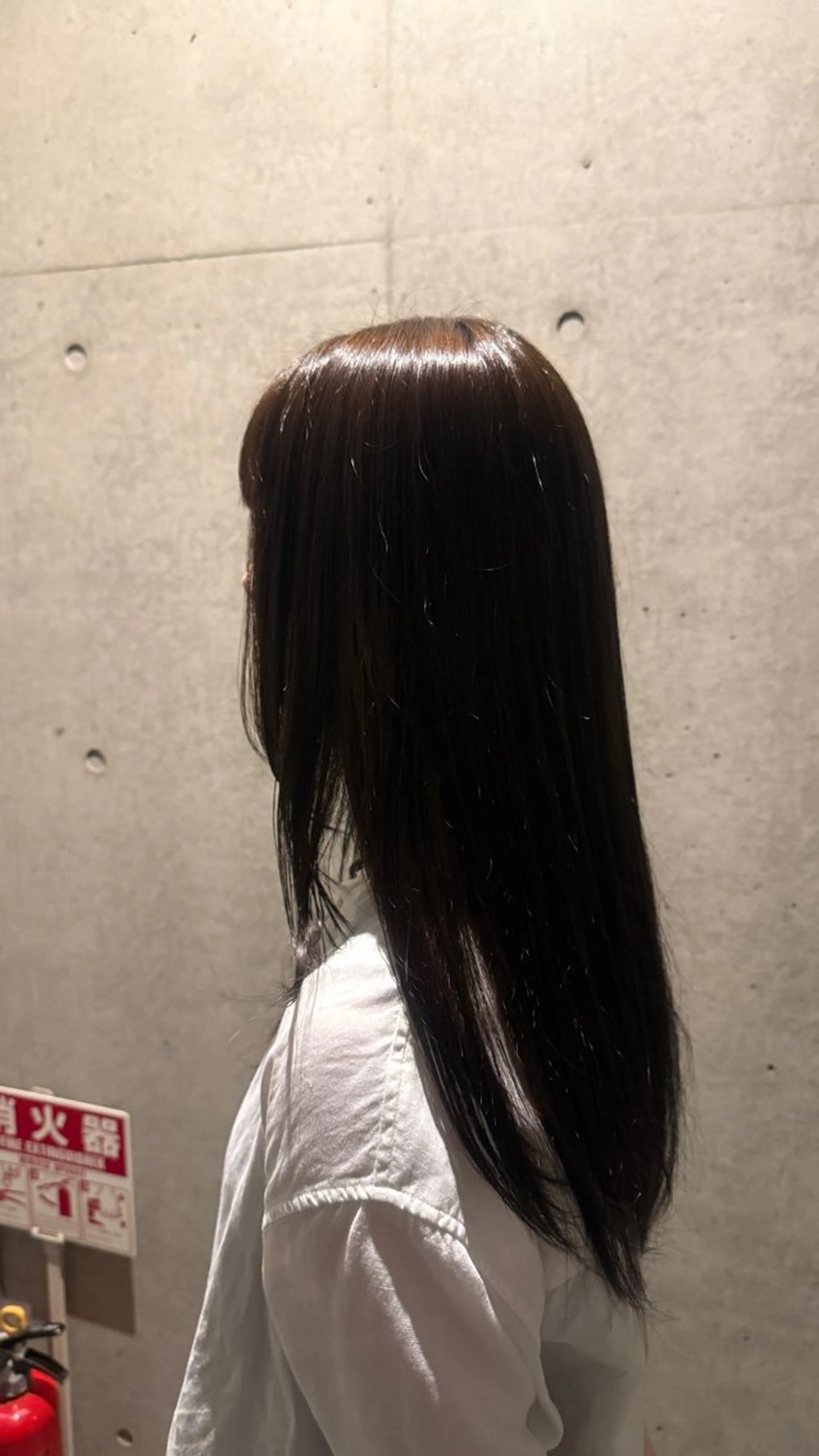 カラー さくら ⭐️ダブルカラーのヘアスタイル