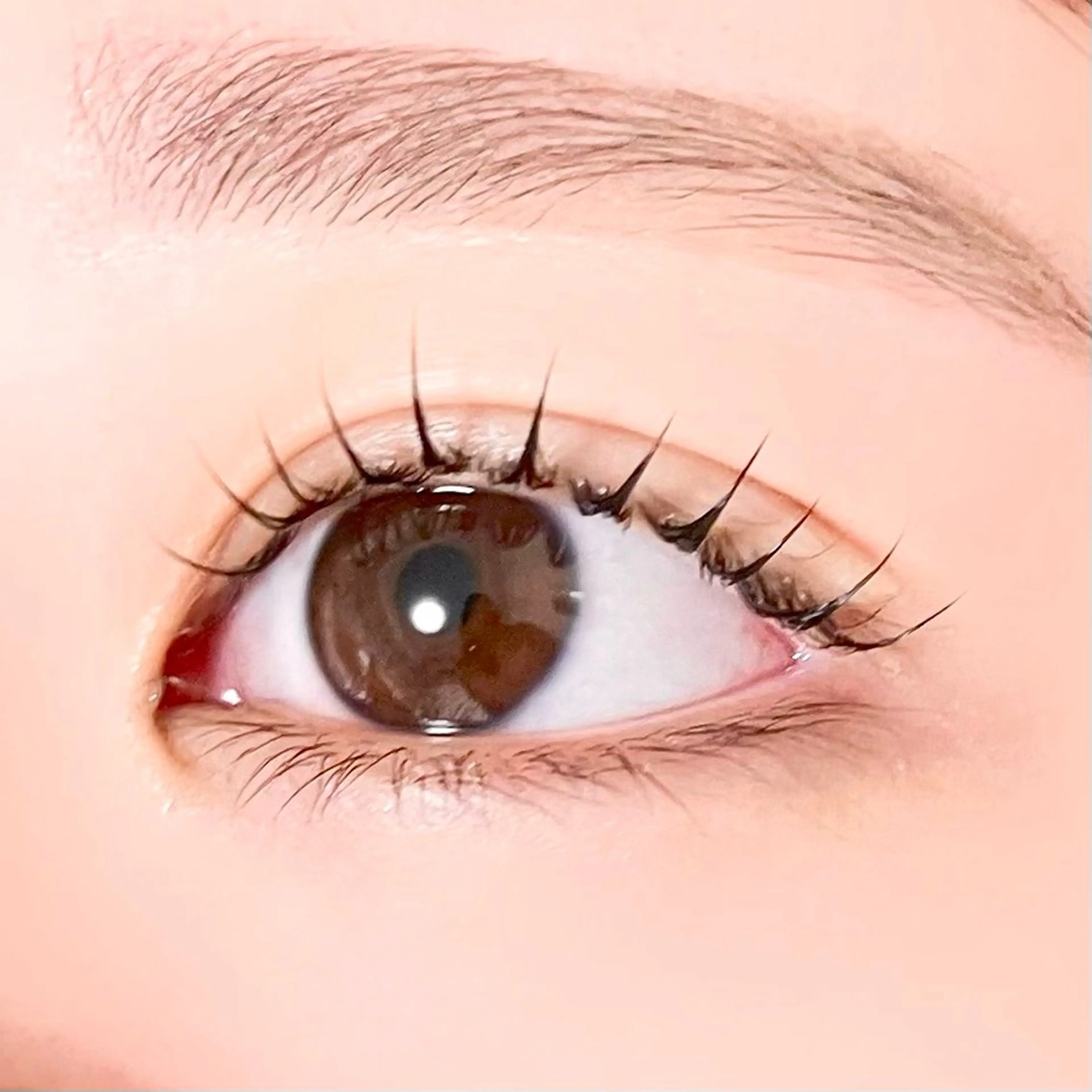 マツエク・マツパ 束感まつ毛 韓国風マツエク パリジェンヌラッシュリフト まつげパーマ 一重×まつ毛パーマ ALPHAbyORIKA所属・束感まつげ｜ユキ 高評価｜堀江のマツエク・マツパデザイン