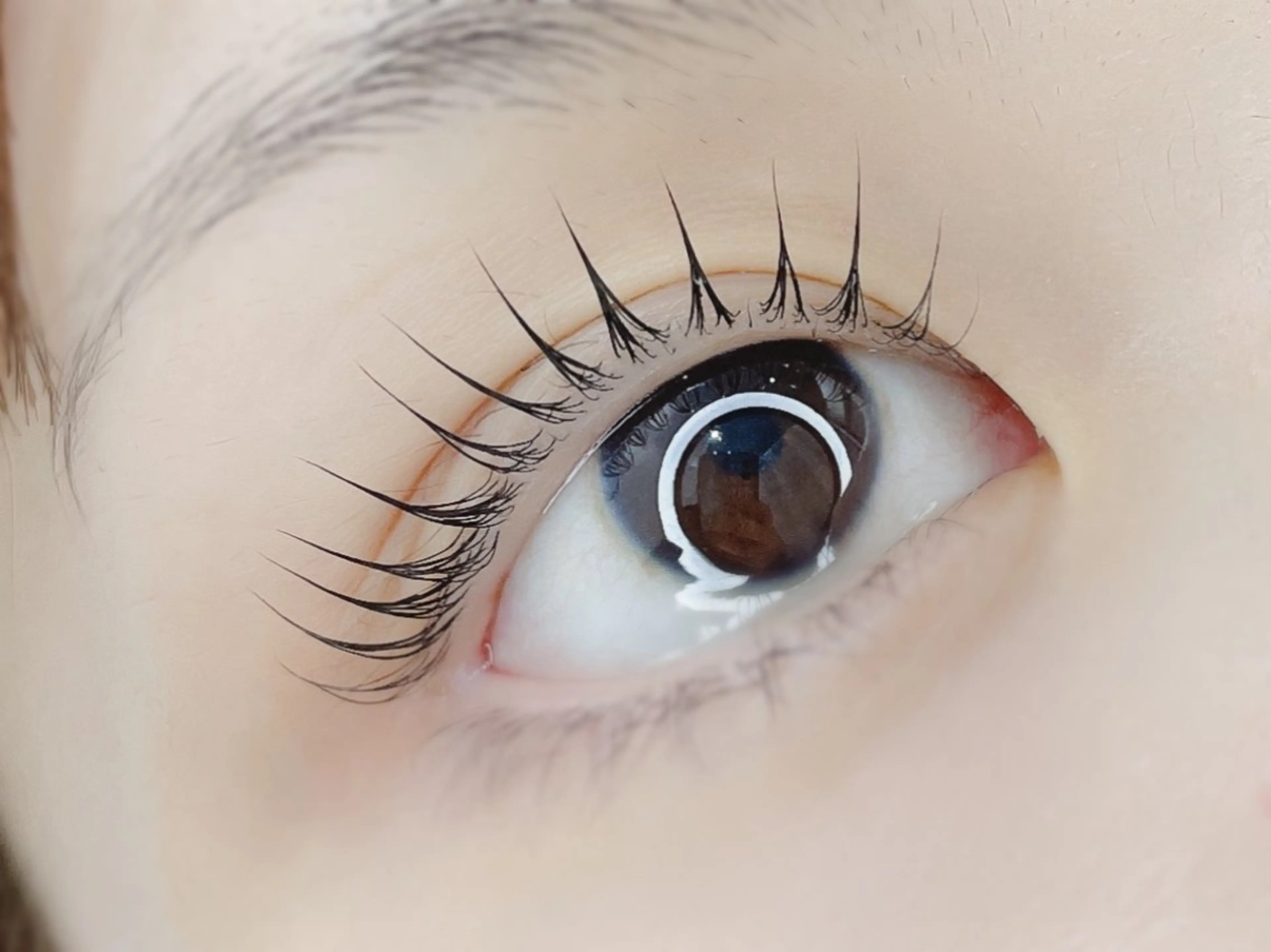 本日ご案内◎まつげパーマorパリジェンヌラッシュリフト＊限定価格＊の写真