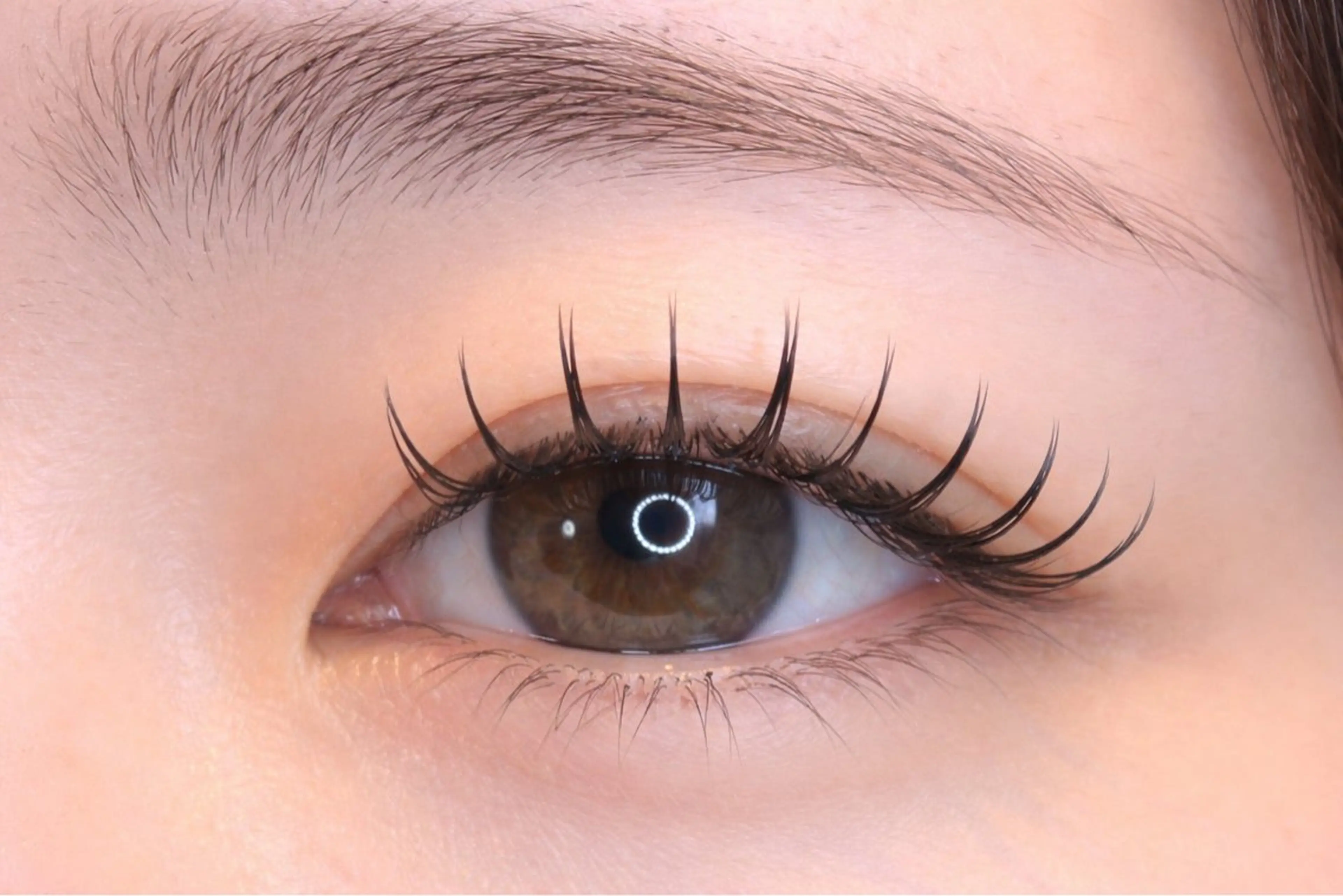 🌸LEDマツエク　100本🌸の写真