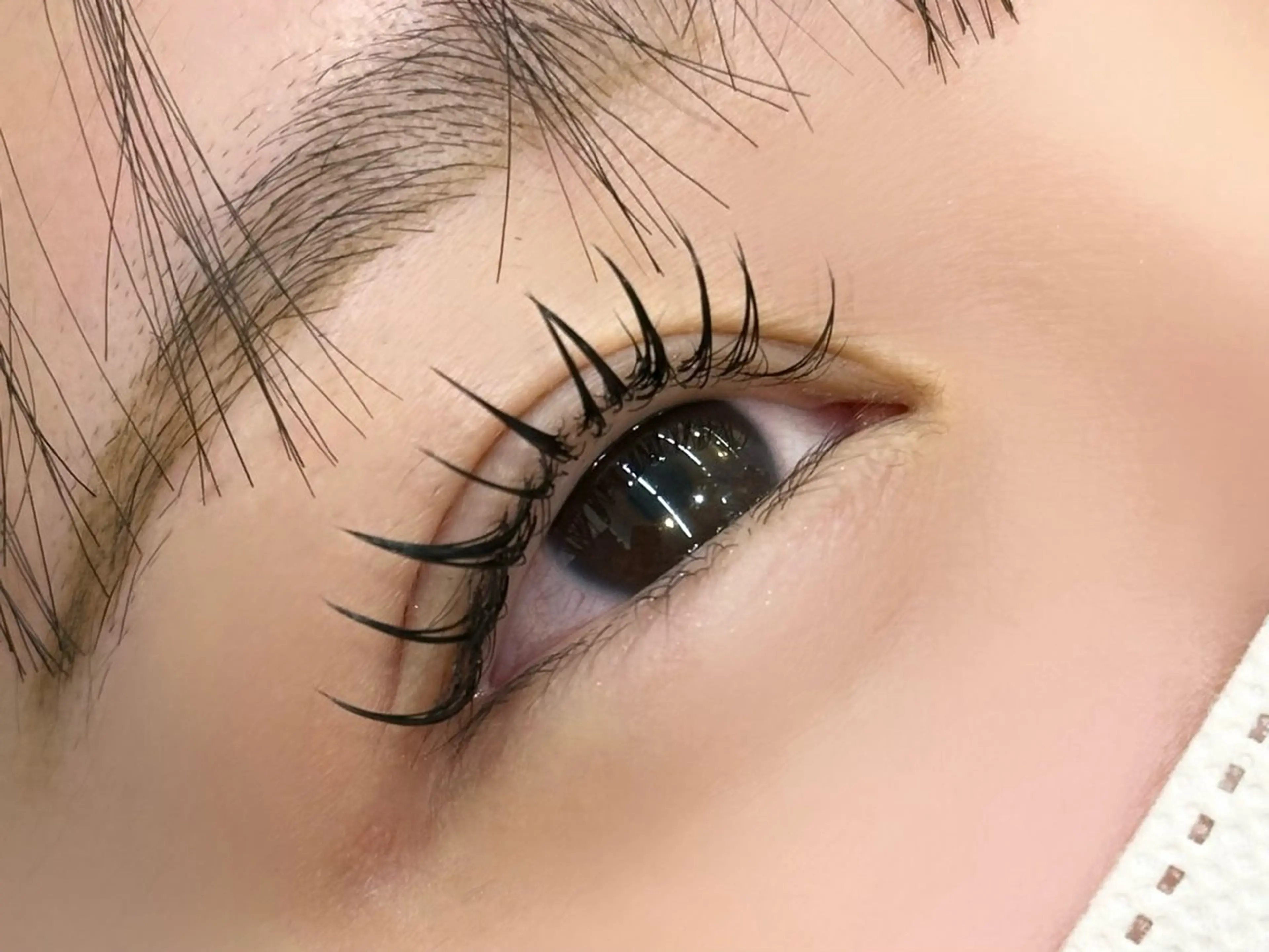 マツエク・マツパ マツエク shu 亀谷心優のマツエク・マツパデザイン