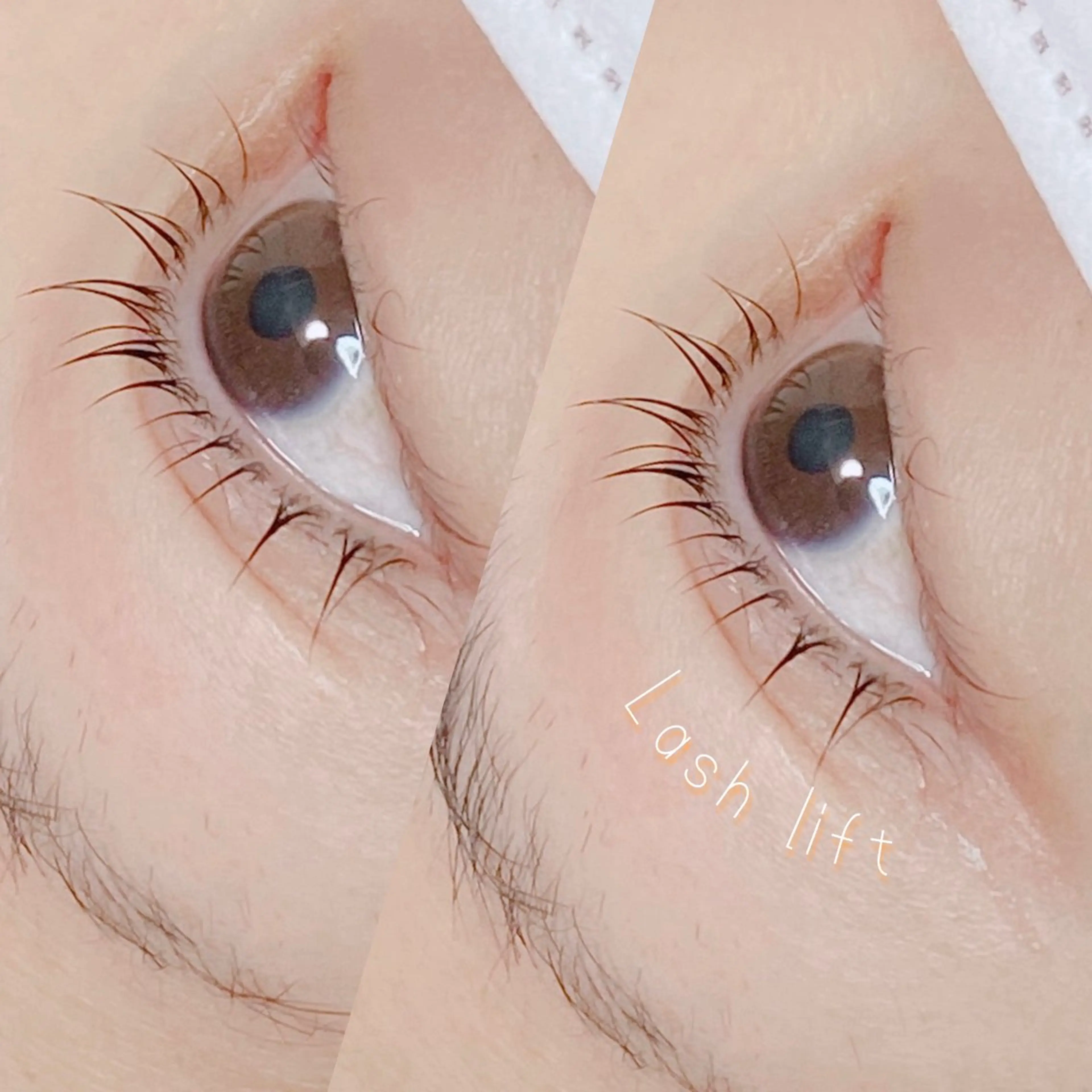 マツエク・マツパ 一重×まつ毛パーマ Miyu🦋 【Angelica】のマツエク・マツパデザイン