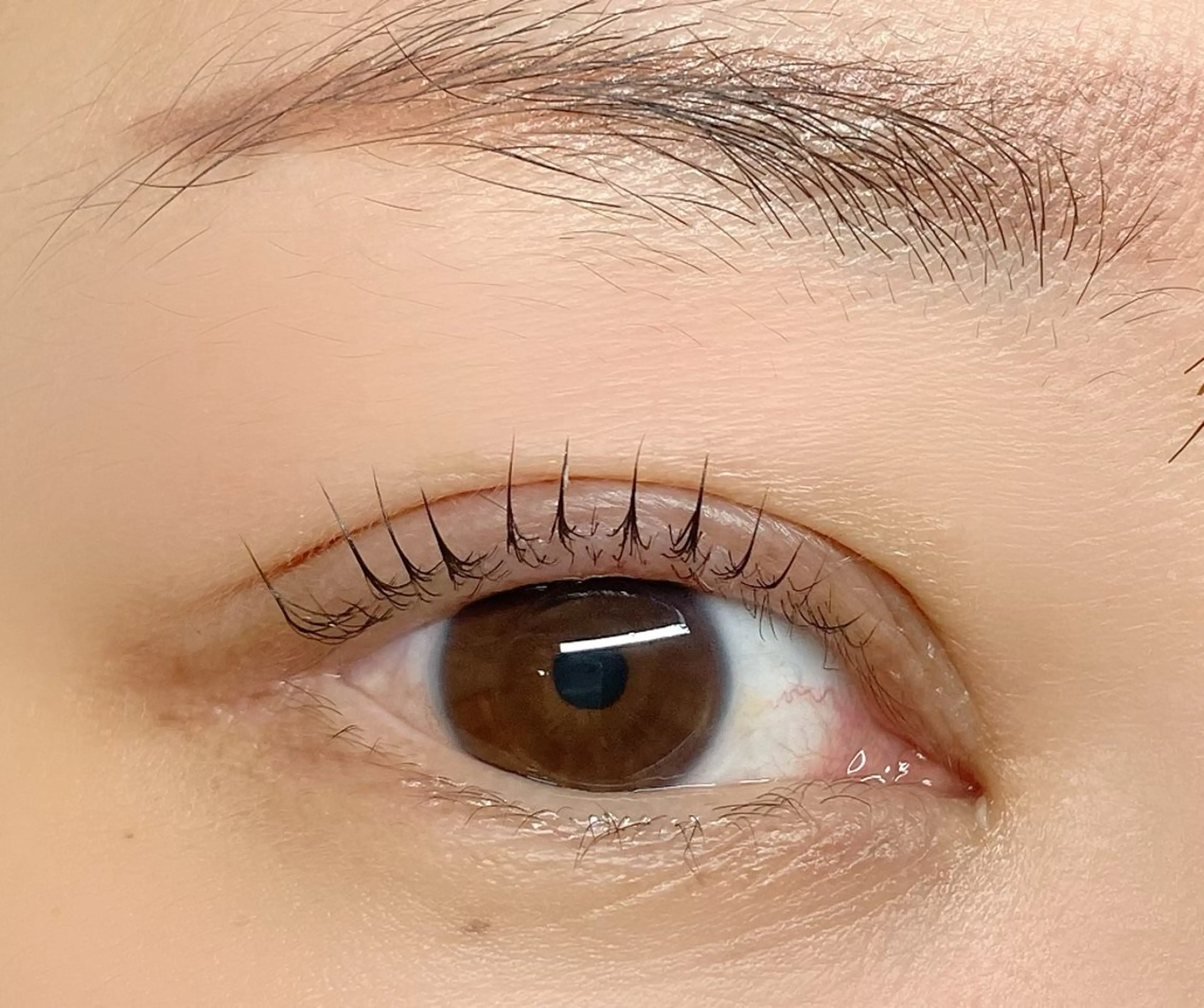 マツエク・マツパ まつげパーマ マツパ 💙🐈 ayaのマツエク・マツパデザイン