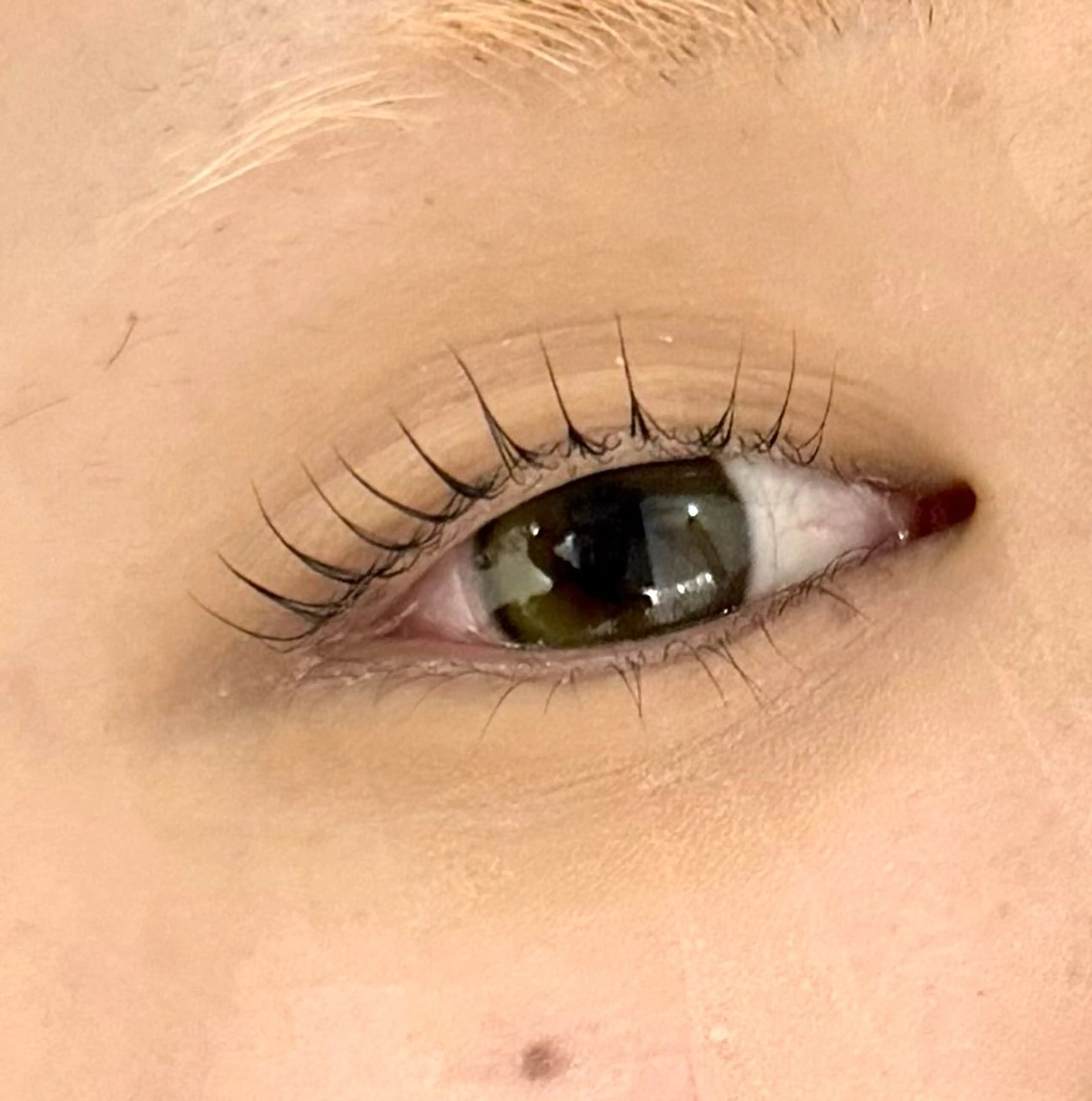 マツエク・マツパ tiara 梅田店のマツエク・マツパデザイン