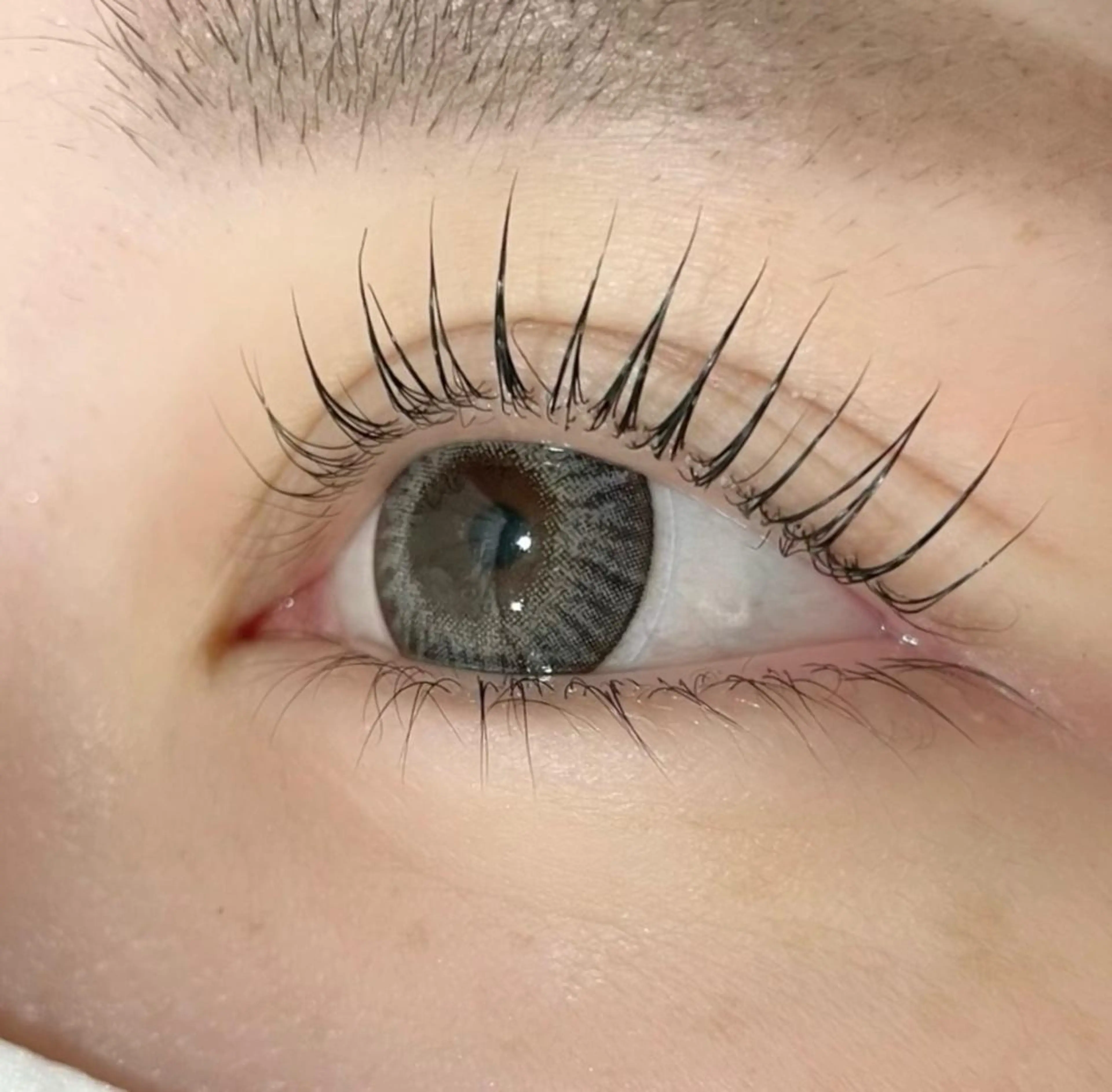 マツエク・マツパ マツパ ELLA 菊地のマツエク・マツパデザイン