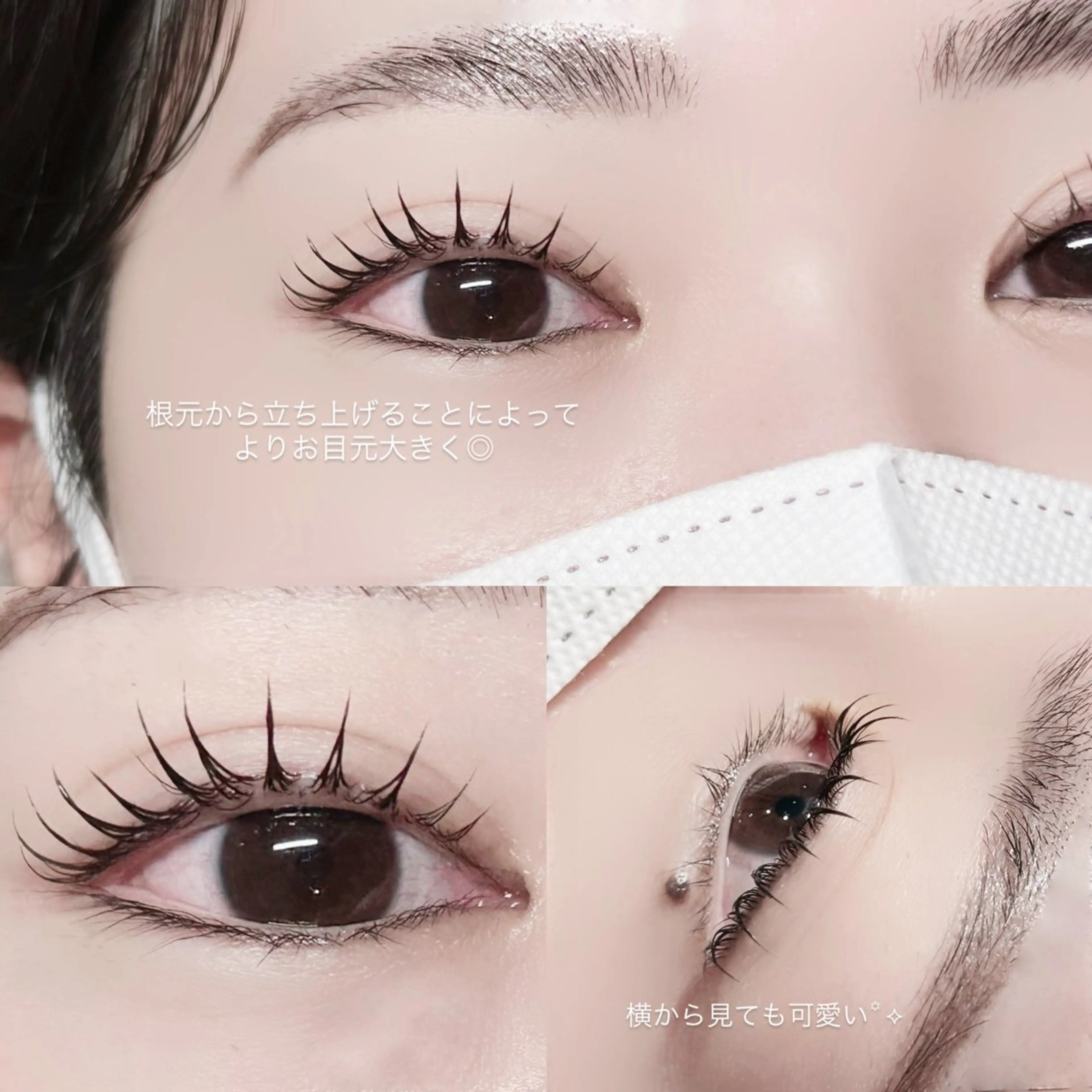 マスカラパーマ「ブラックティント✕上まつ毛パーマ 」【¥7,150→ミニモ限定¥5,550】の写真