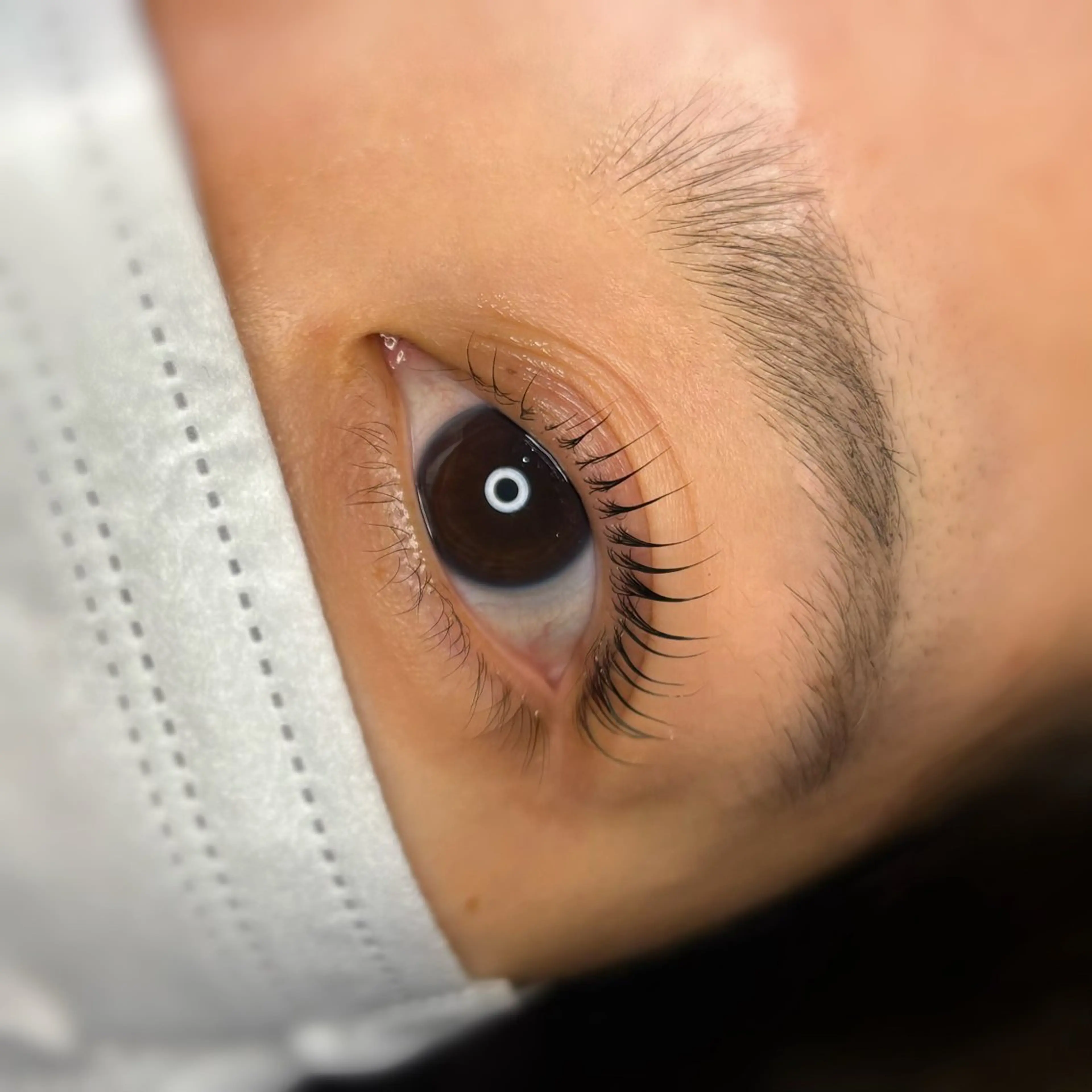 【ミニモ限定】まつ毛パーマ　上　（オフなし）の写真