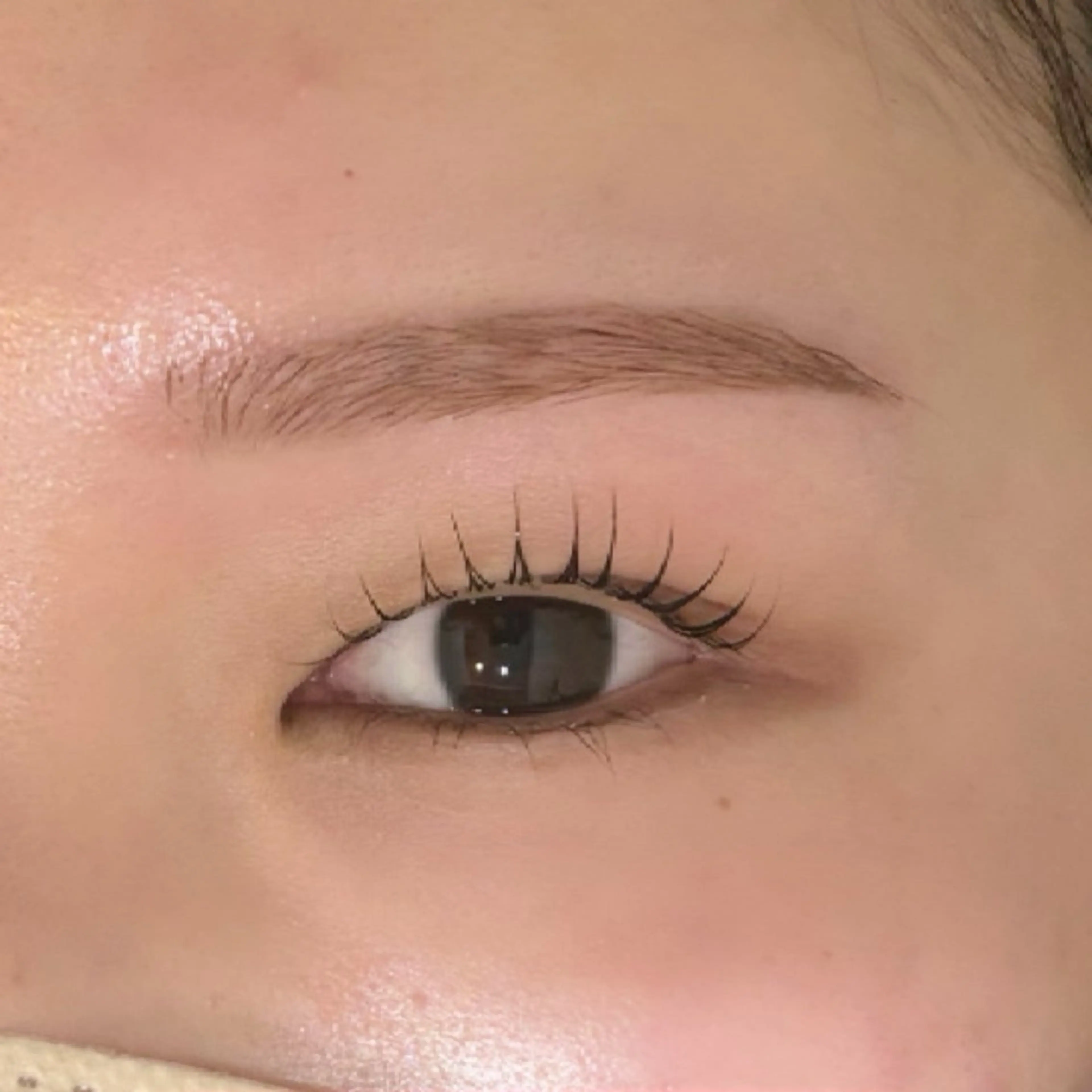 🚨急募🚨【⚠️4月限定】●まつ毛パーマ✖️眉毛WAXセット●モニター様募集 お支払い方法現金のみ¥3,500の写真