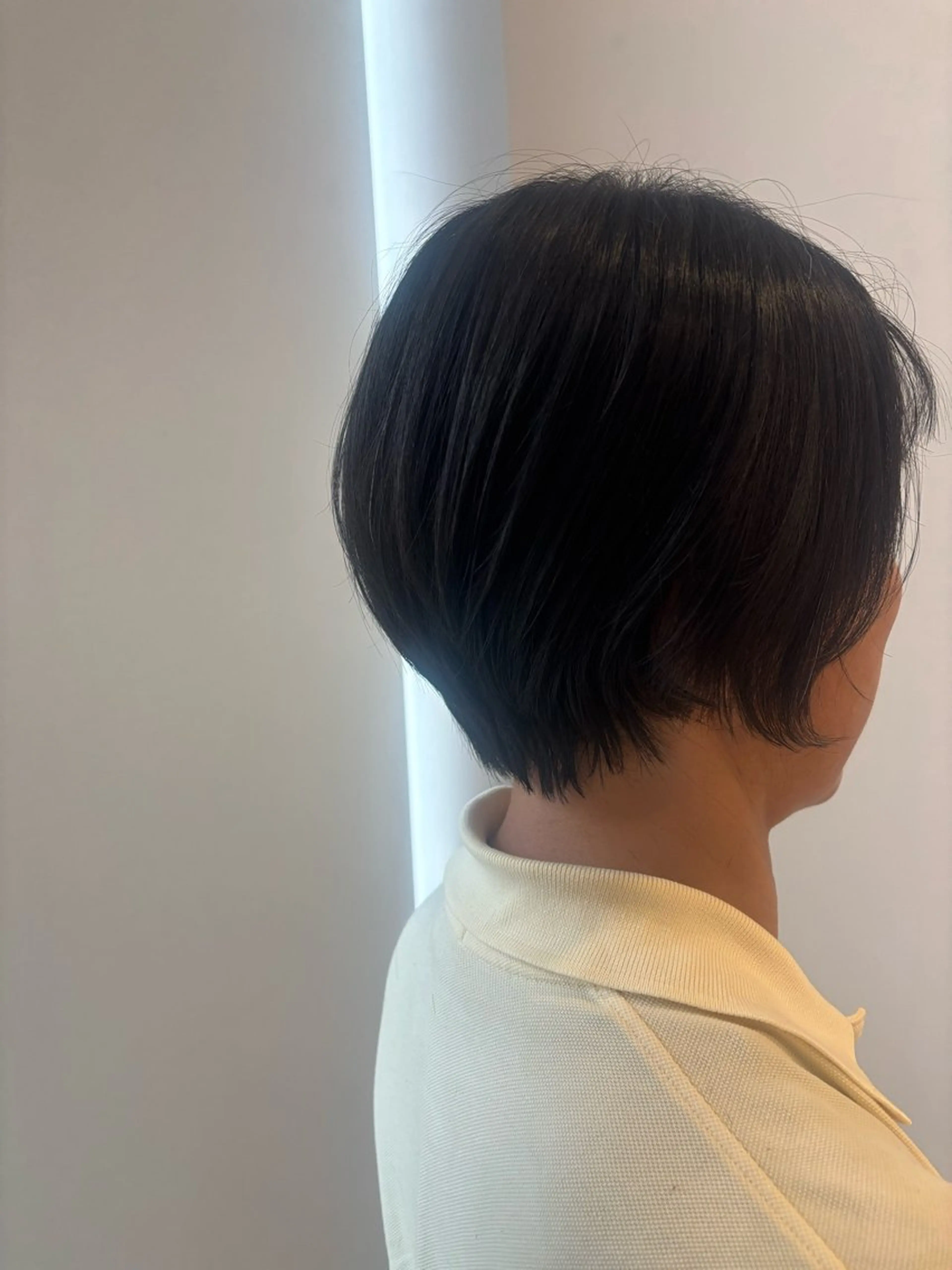 ショート 堀 ゆきみのヘアスタイル