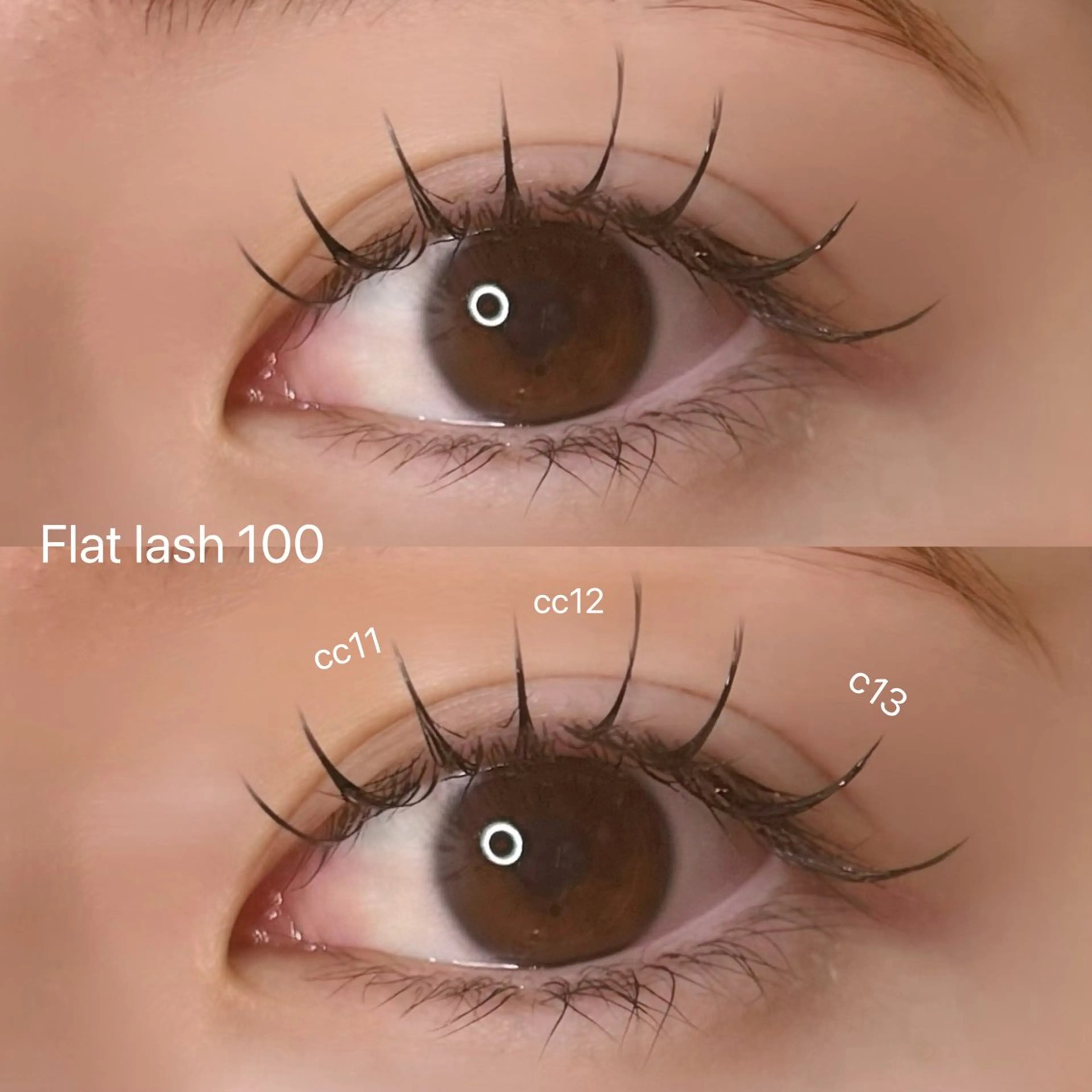 マツエク・マツパ フラットラッシュ マツエク elua eyelashの眉毛・アイブロウイメージ