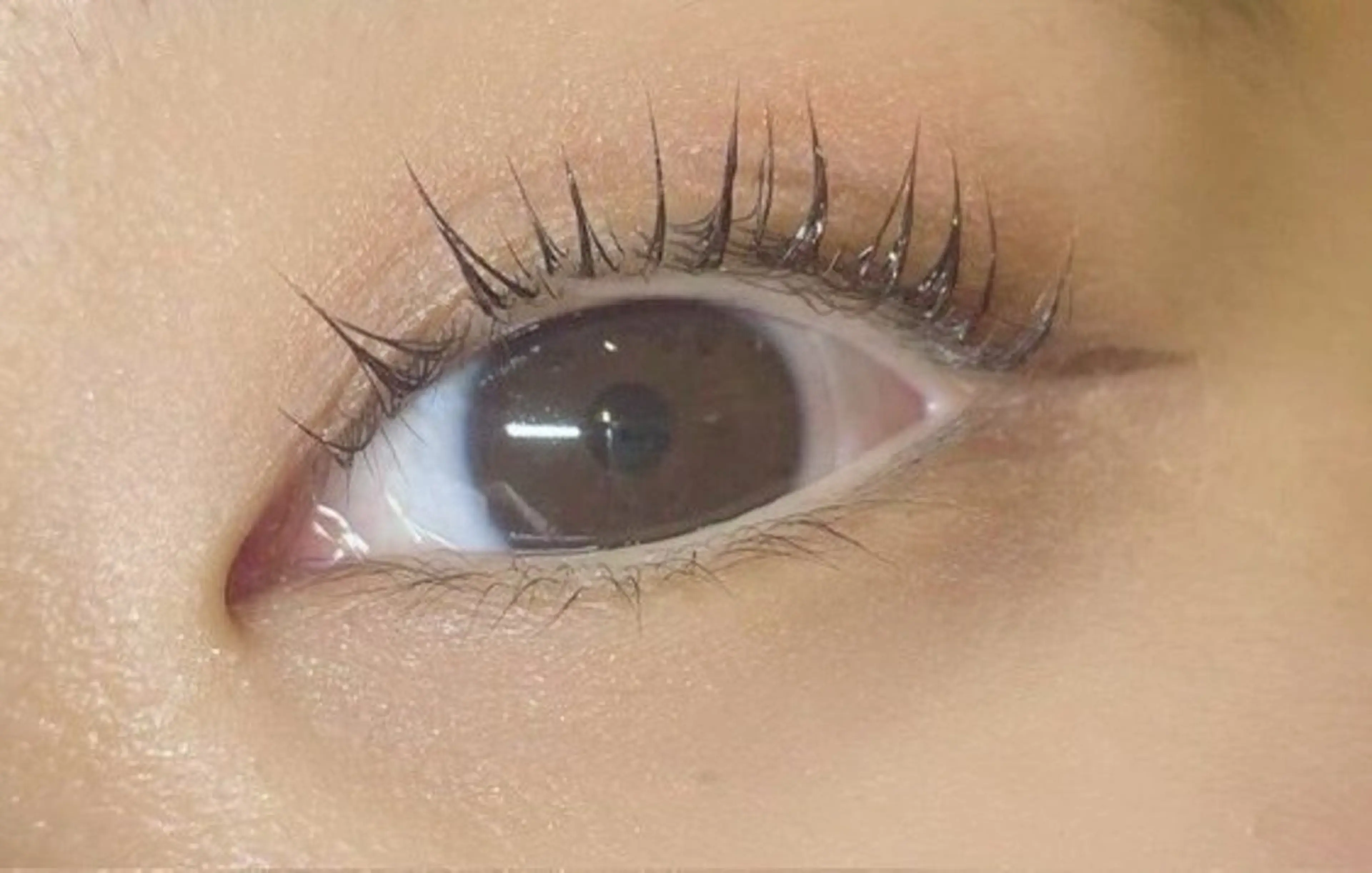 マツエク・マツパ パリジェンヌラッシュリフト まつげパーマ makea 戸田公園 💐kahoのマツエク・マツパデザイン