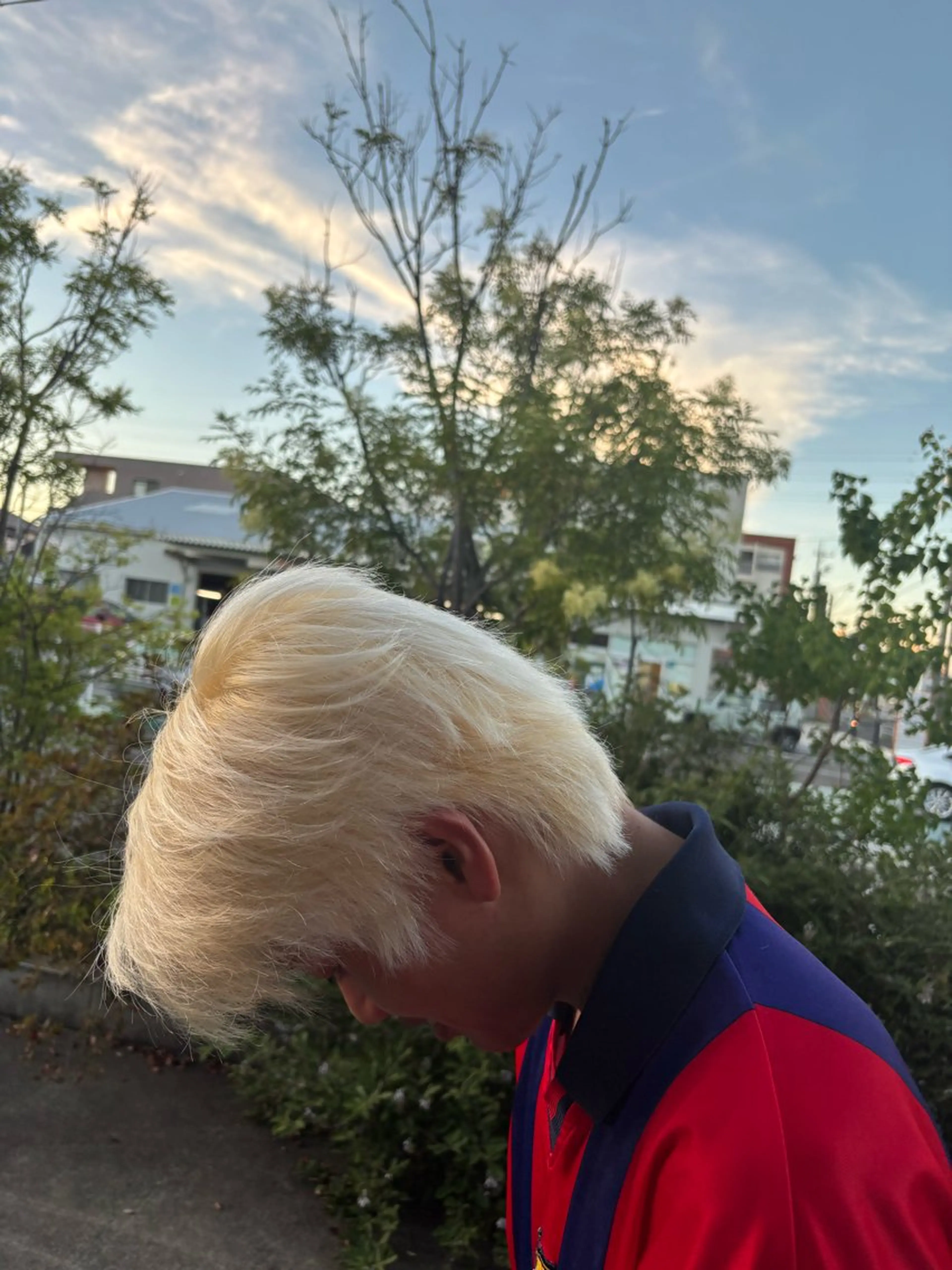 ブリーチのみの写真