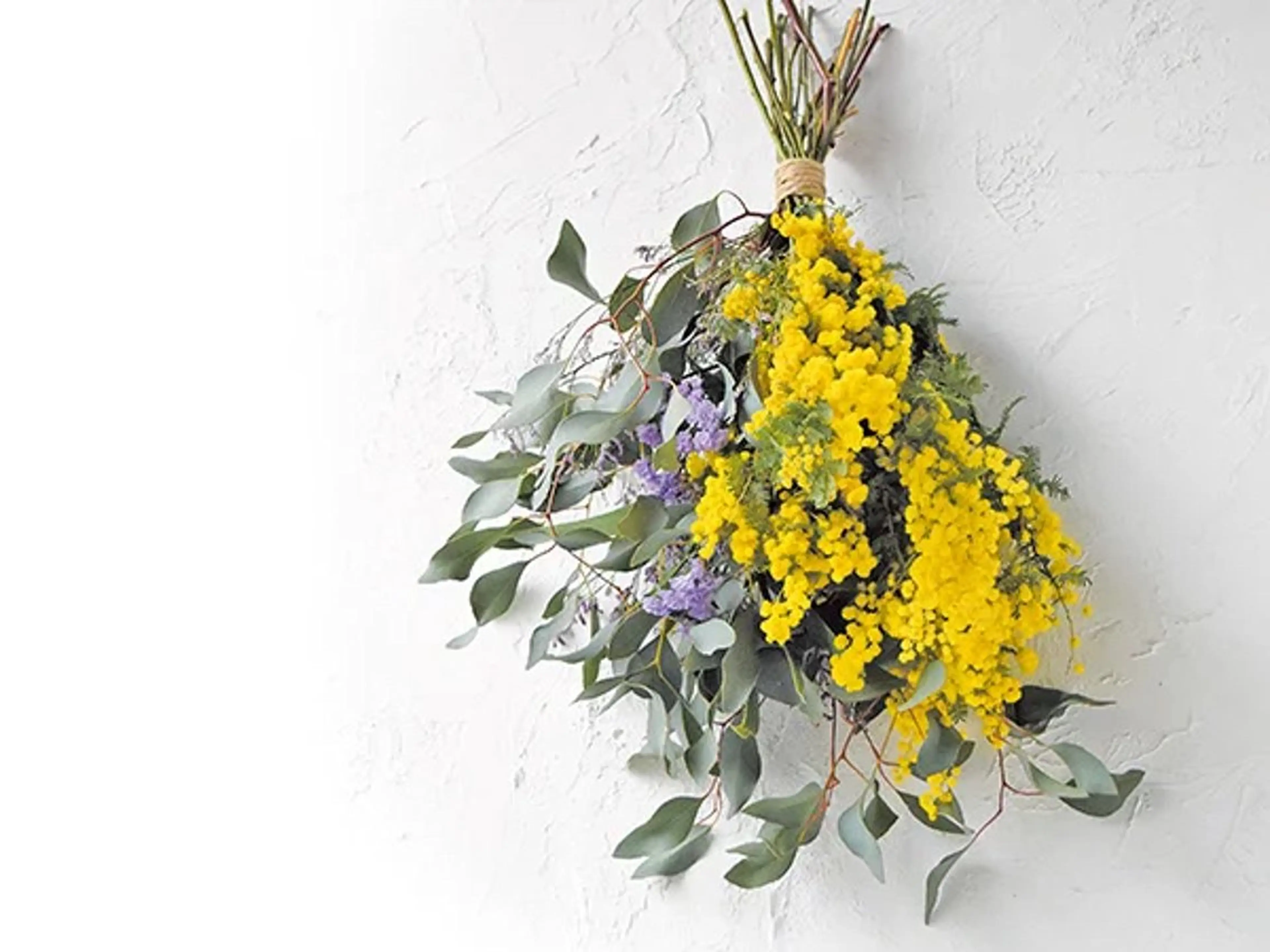 マツエク・マツパ 《amii.》永島 パリ/束感/エクステのマツエク・マツパデザイン